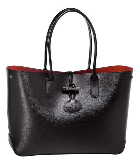 Longchamp bag