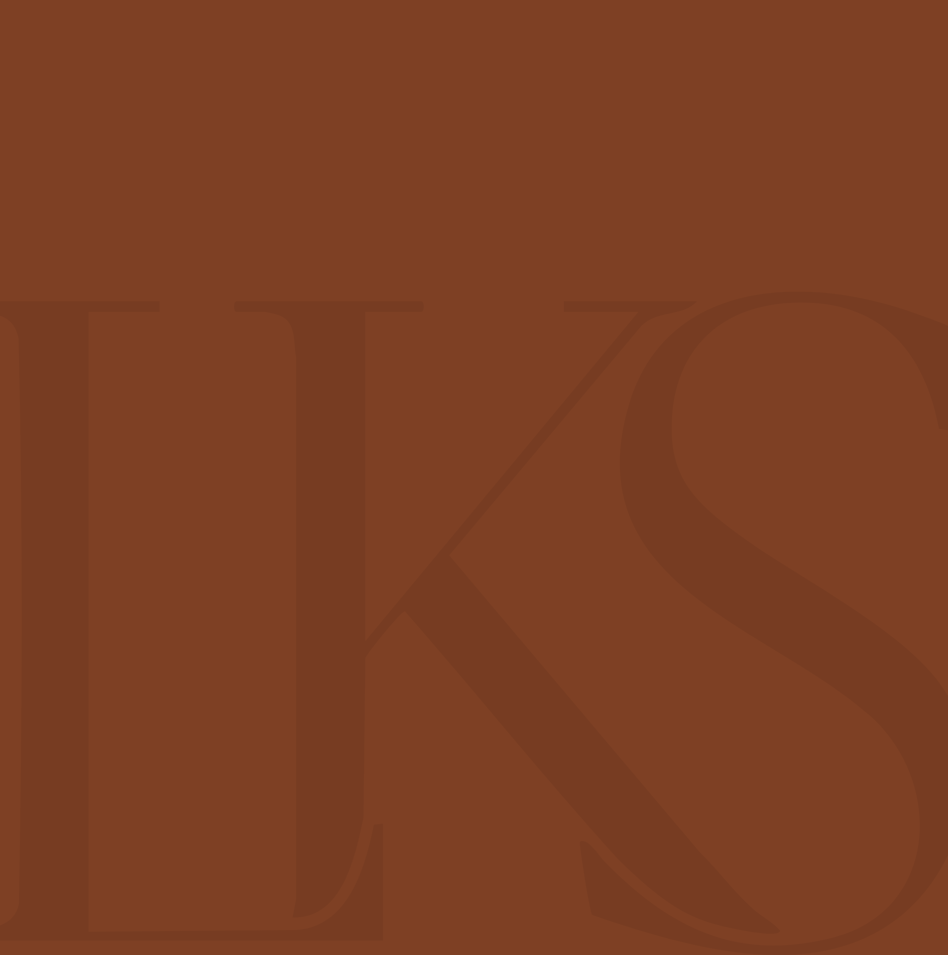 Laura K. Sawyier personal styling services