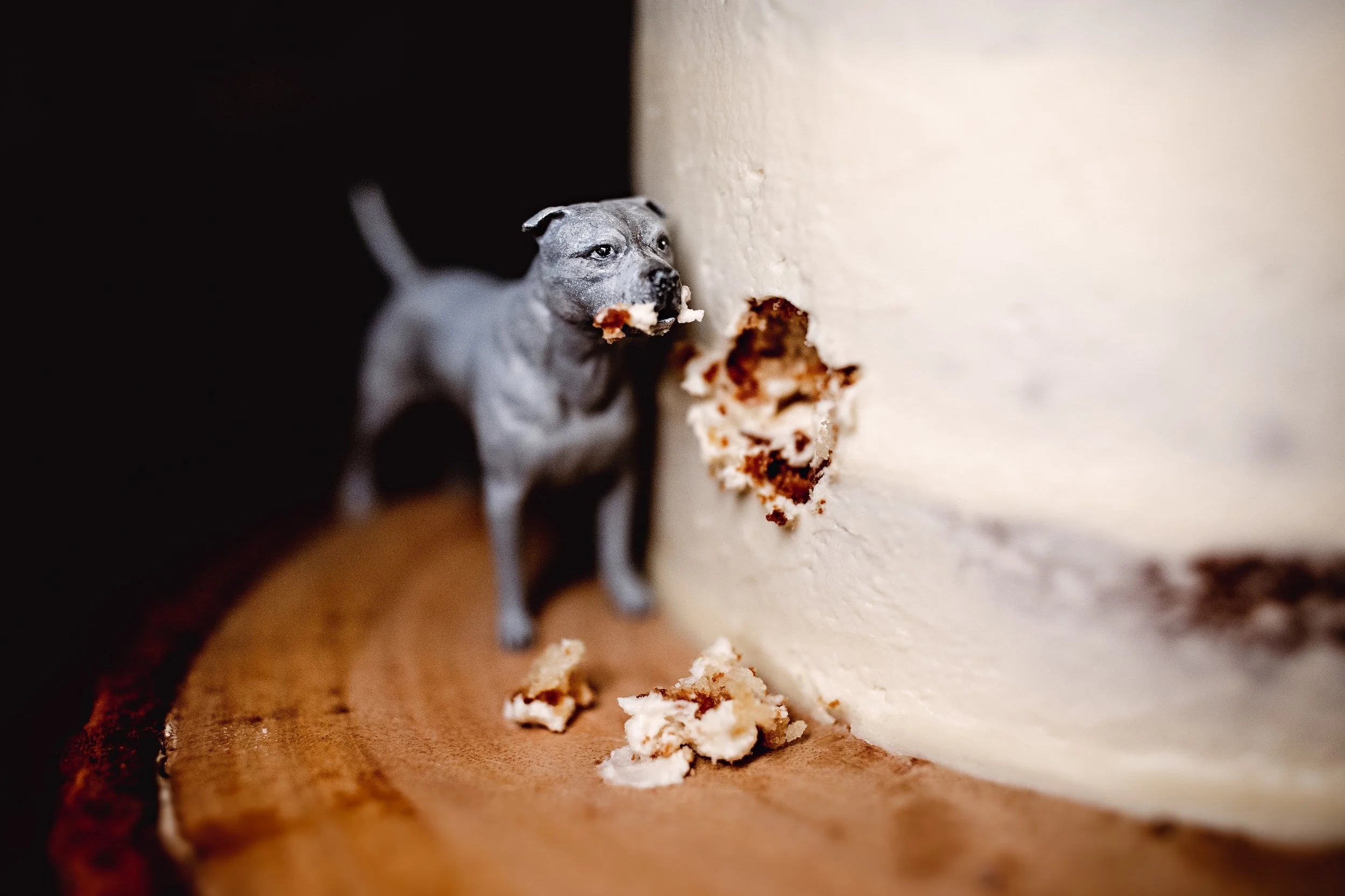 Alex  Perry France Wedding 636.jpg