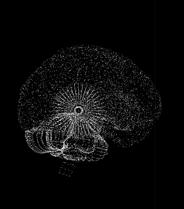 Eine technische Illustration eines menschlichen Gehirns in weiß auf schwarzem Hintergrund, detailed und schematisch dargestellt.