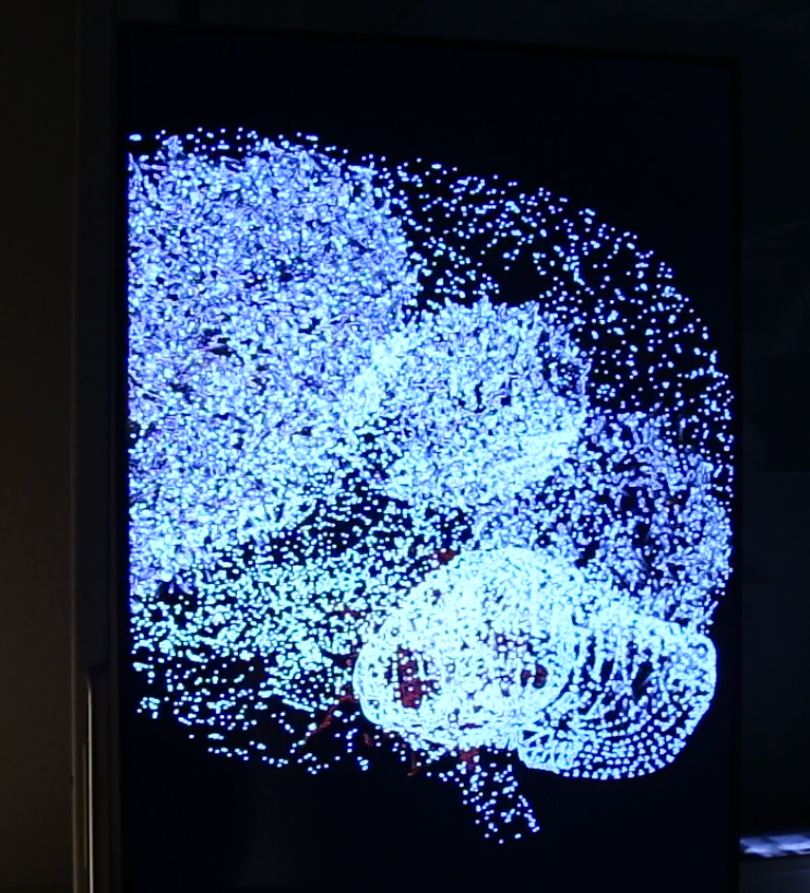 Screenshot 2023-08-07 075718.png