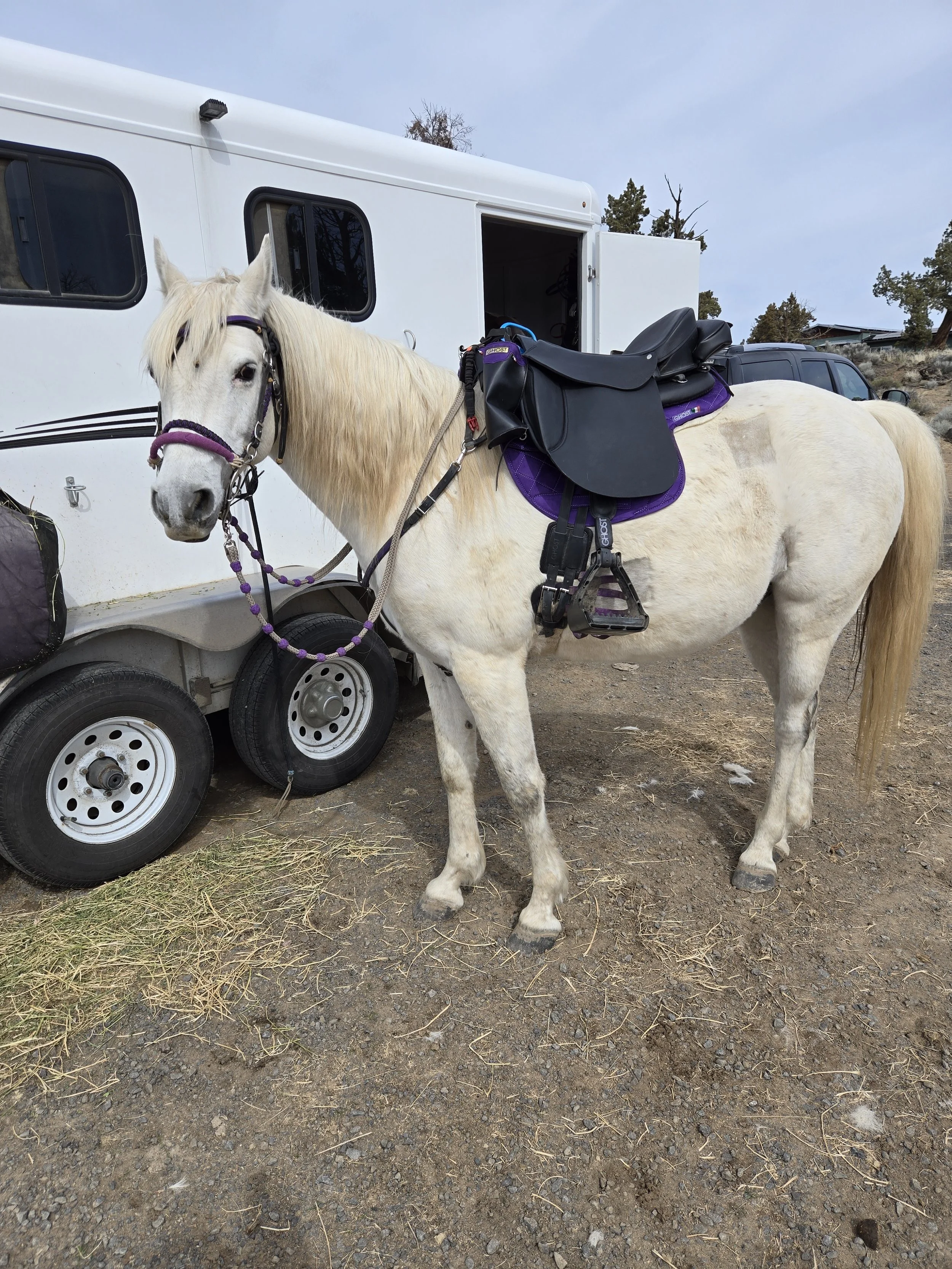 2025-04-05 11.08.37.jpg