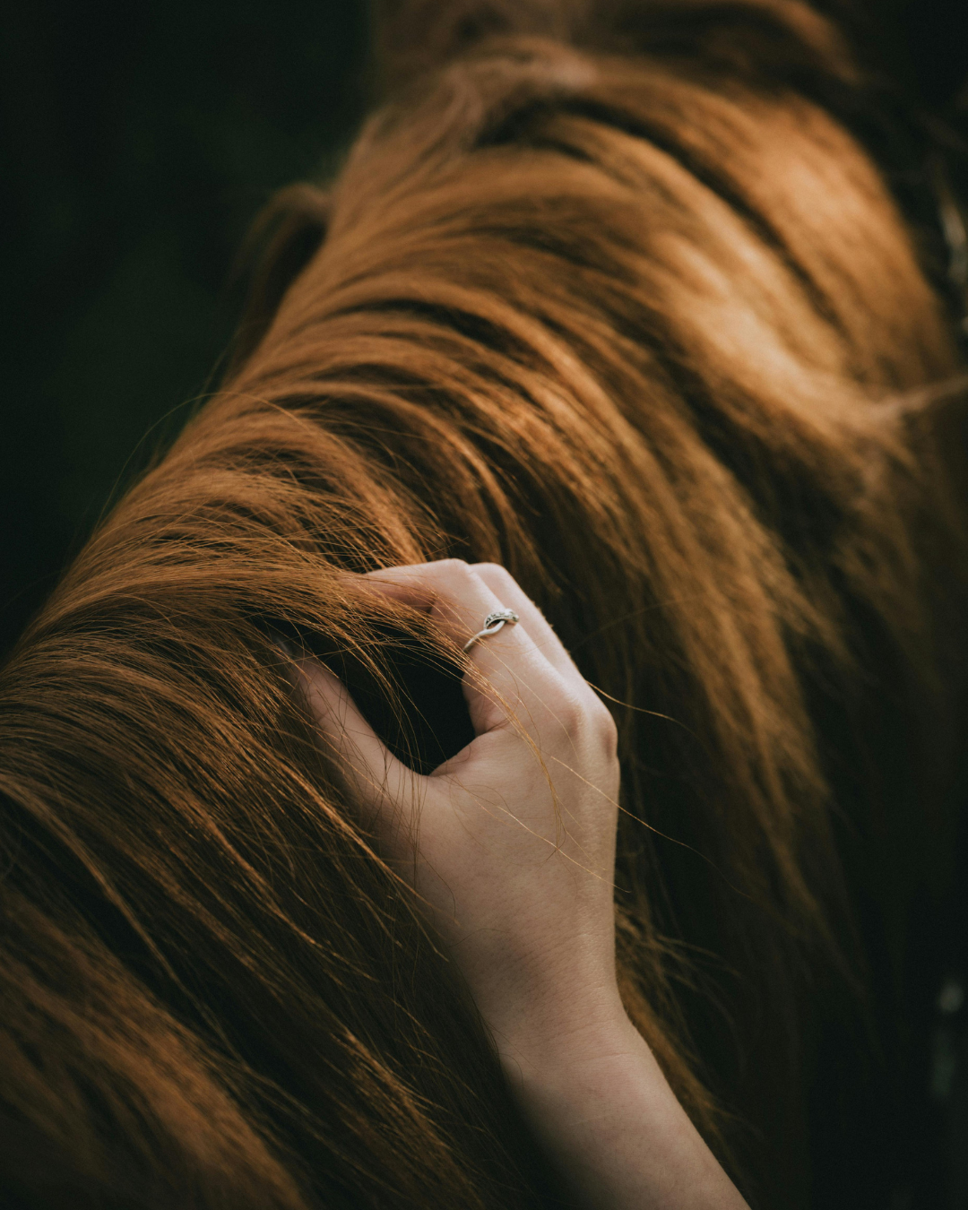 A hand with a ring touching the shiny, reddish-brown hair of a horse.