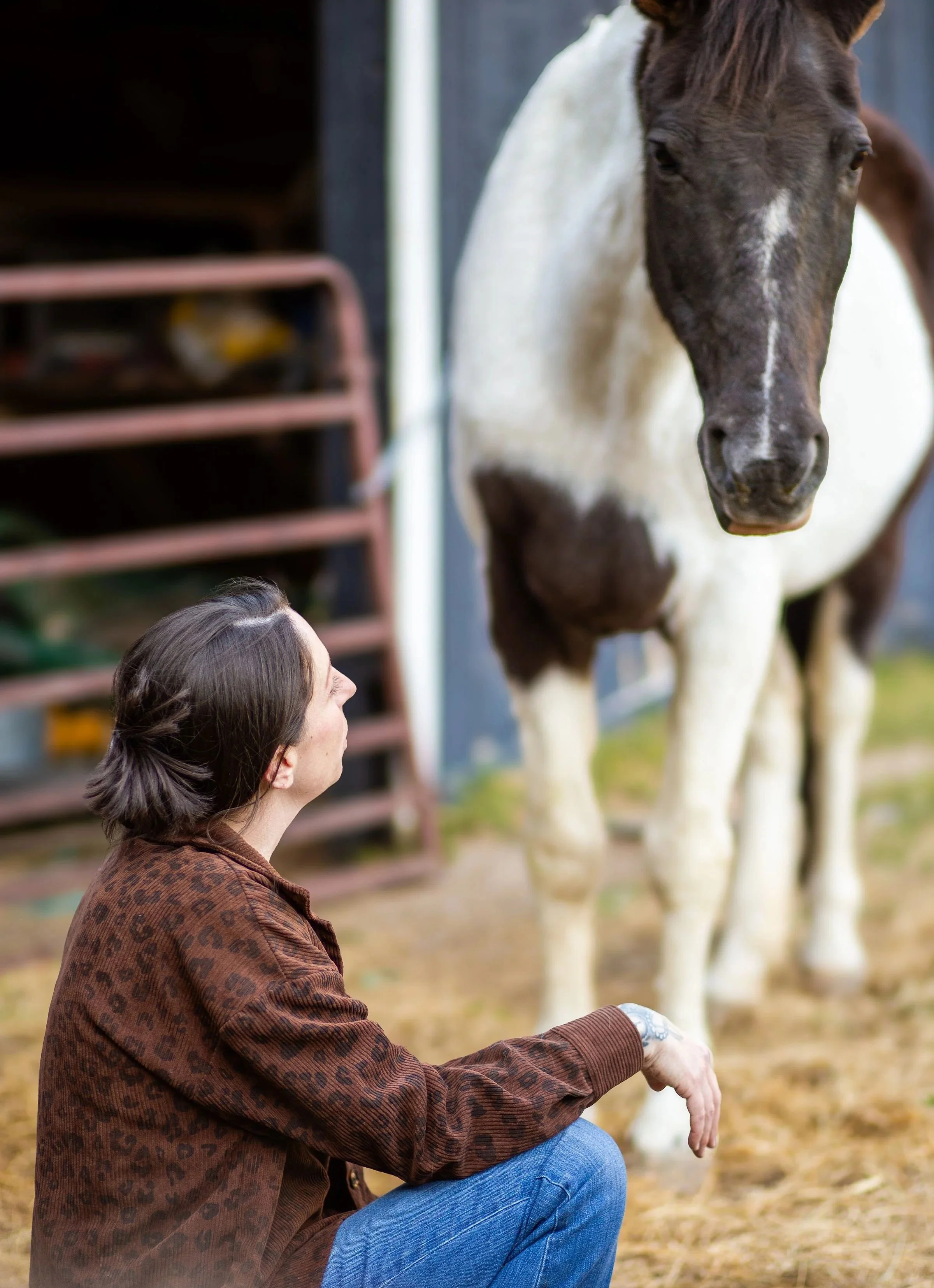 A woman with brown hair and a leopard print jacket sitting outdoors near a horse, smiling and looking up at the horse.