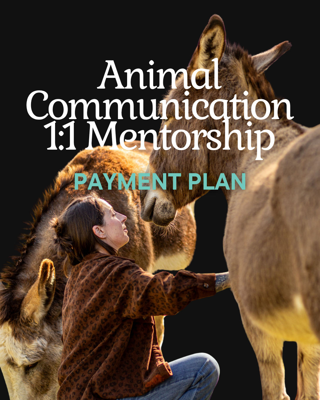 Animal Communication 1:1 Mentorship (Monthly Payment Option)