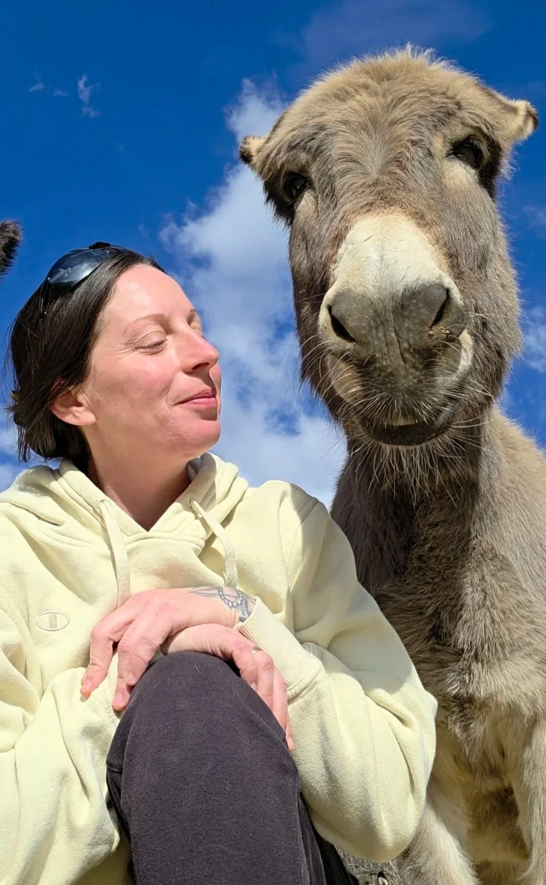 A woman with short dark hair and a light yellow hoodie smiling with her eyes closed, sitting close to a large, friendly-looking donkey with light brown fur, large nose, and dark eyes, against a bright blue sky with some white clouds.