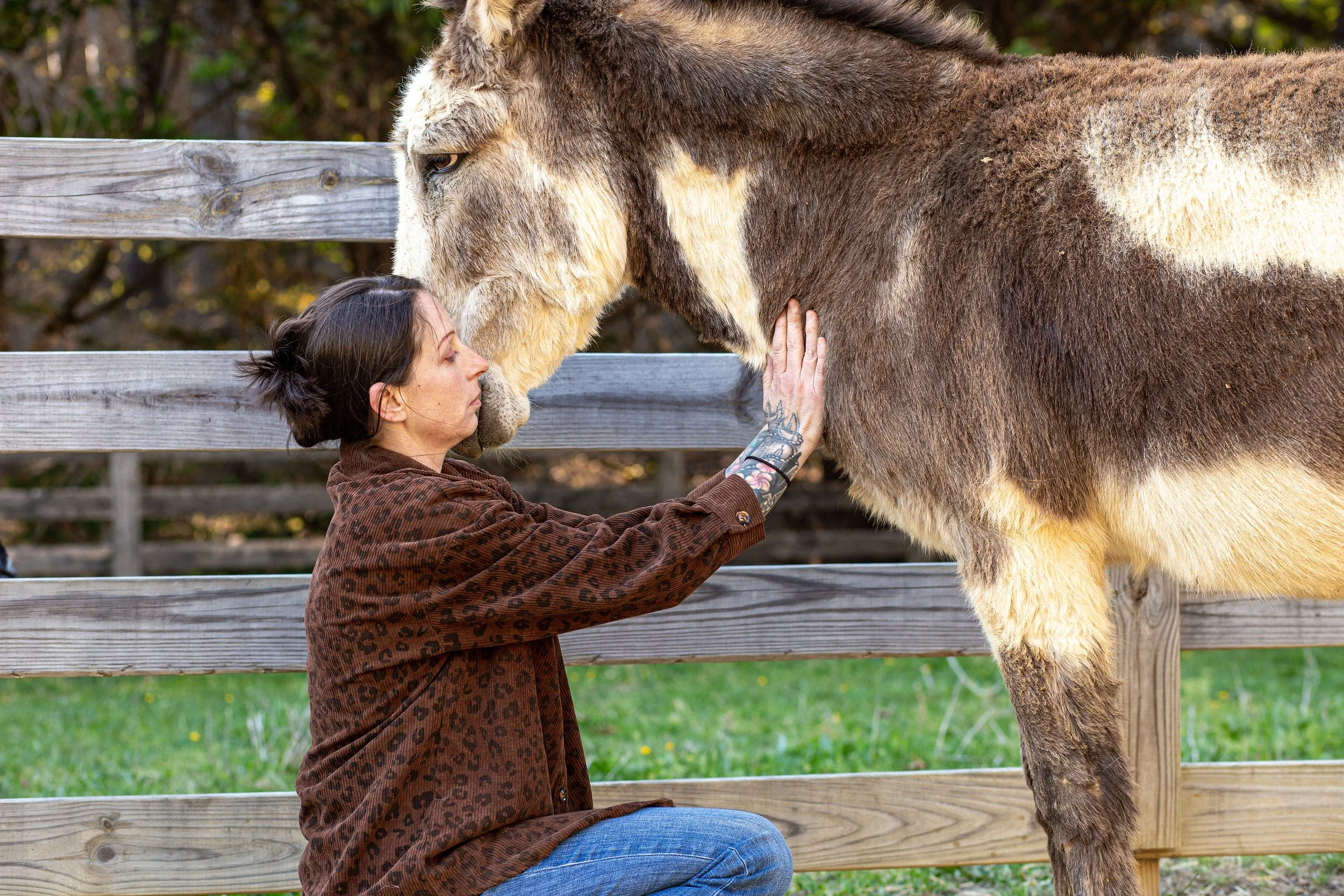 A woman with tattoos on her arm is kneeling and leaning forward with her face close to a donkey, providing reiki and gently touching its face, in an outdoor setting with a wooden fence and greenery in the background.