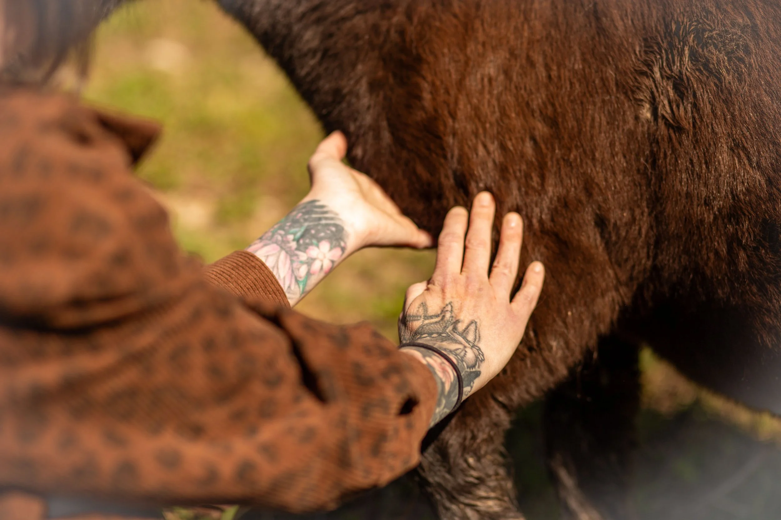A person with tattoos on their arm gently touching the side of a brown horse during daytime.