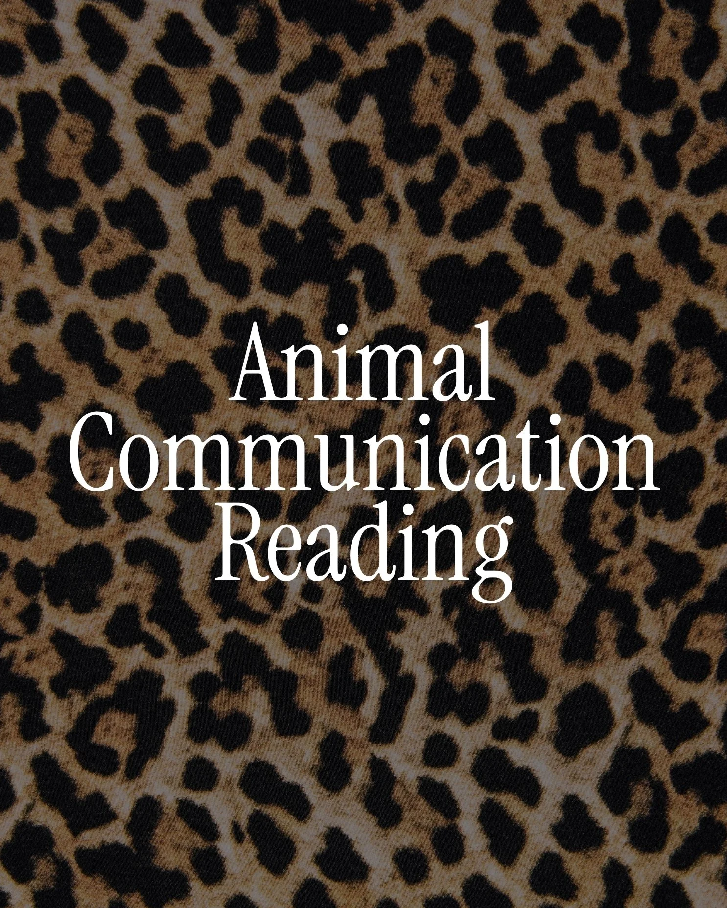 Cover image with a leopard print background and white text that reads "Animal Communication Reading."