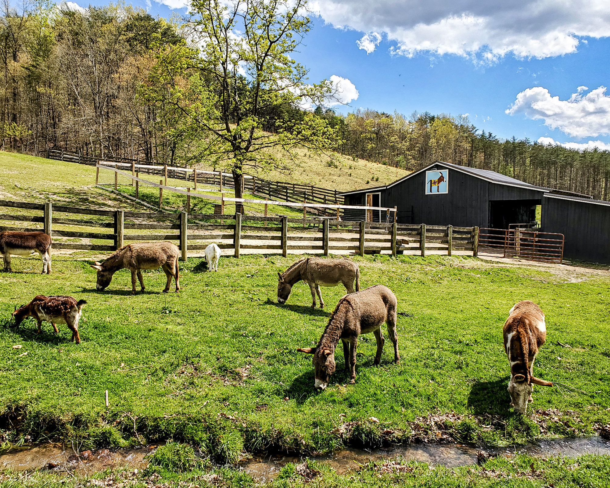 The Farm