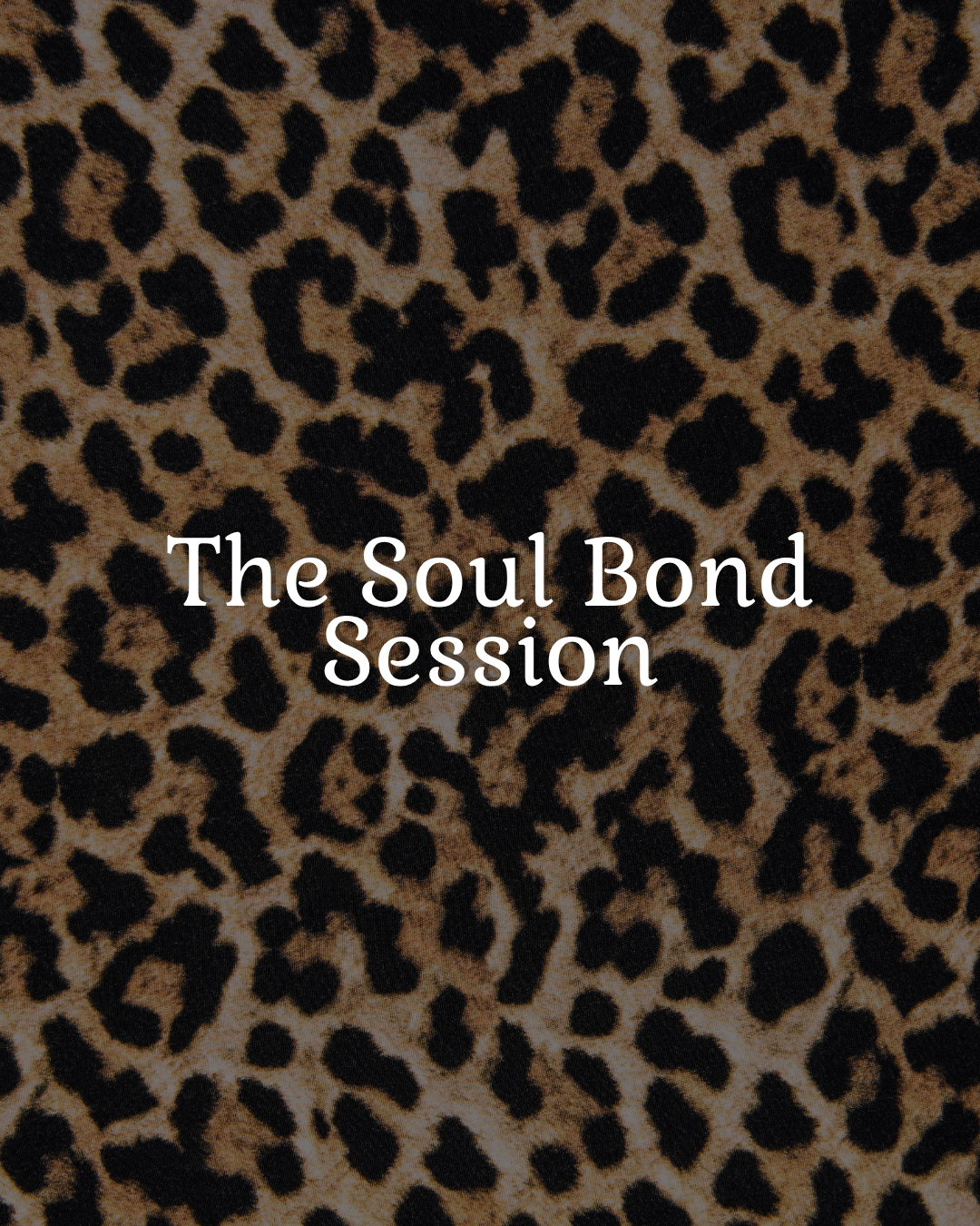 Book cover with leopard print background titled 'The Soul Bond Session'.