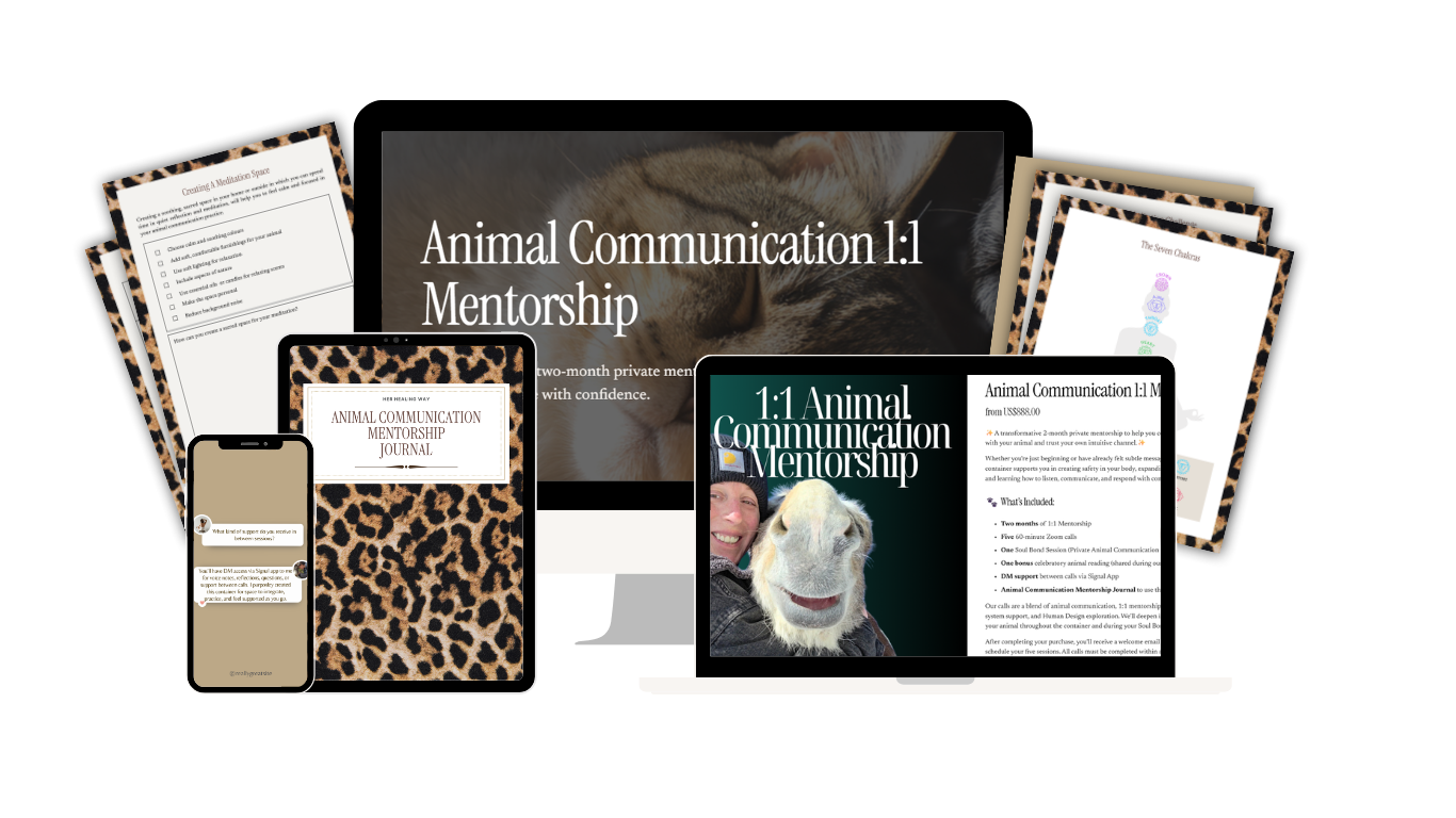 Digital collage of materials promoting Animal Communication 1:1 Mentorship, including a central banner with a lion and animal, multiple flyers and cards with leopard print borders, a smartphone screen, a tablet, and a notebook, all related to animal communication mentoring.