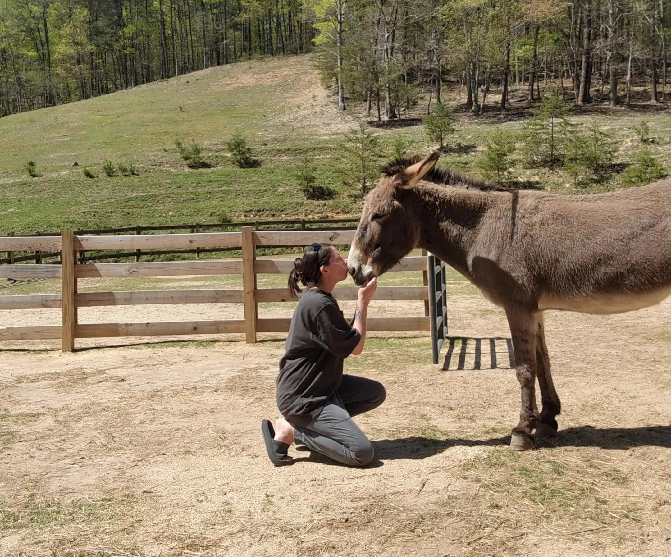 A woman kneeling on the ground, kissing a donkey on the nose in an outdoor farm setting with wooden fencing and green hills in the background.