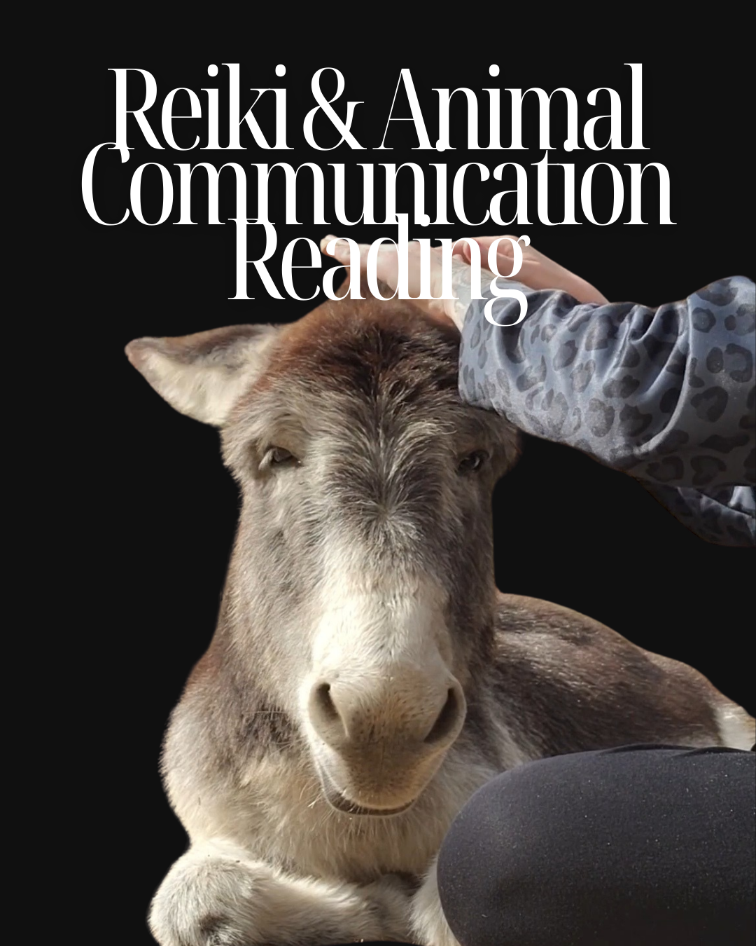 A woman wearing a camouflage baseball cap and a purple jacket holds a light brown rabbit in her arms against a black background with a human design illustration and the text 'Soul Bond Session'.