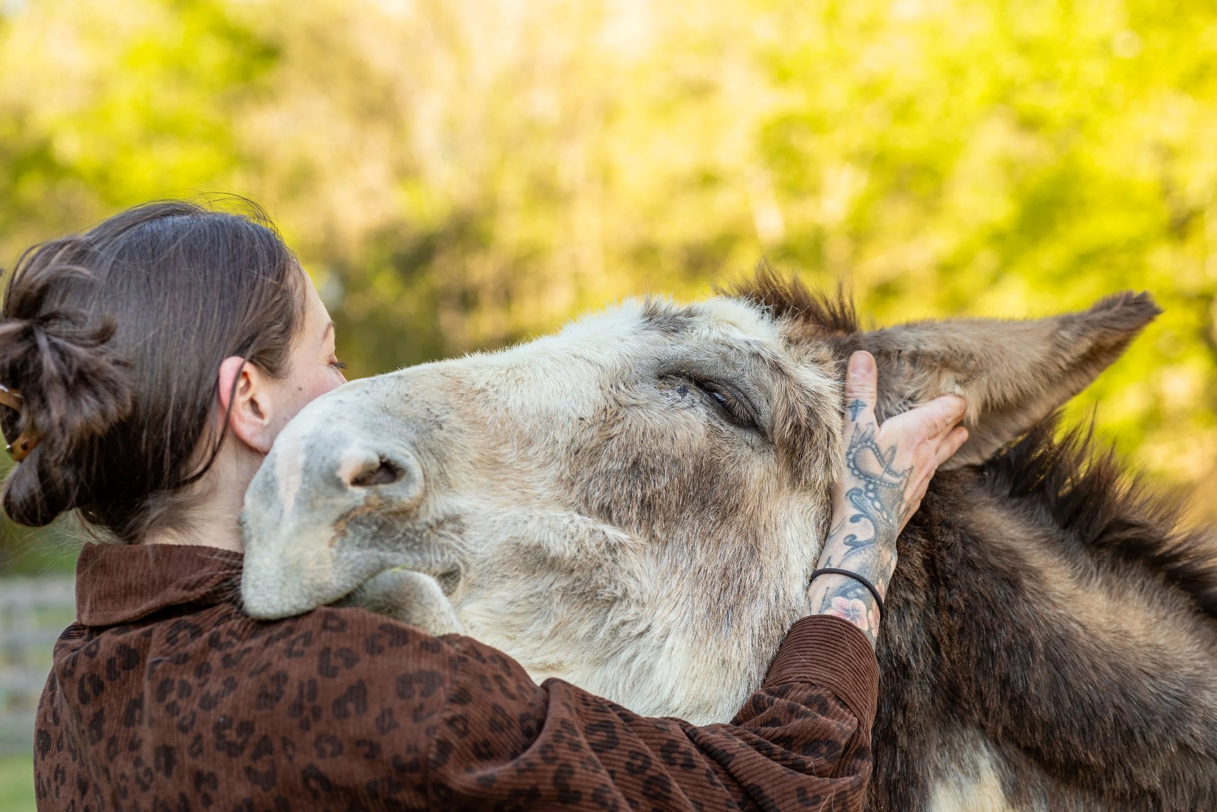 A person with tattoos on their hand is kissing a horse on its nose outdoors, with blurred green trees in the background.