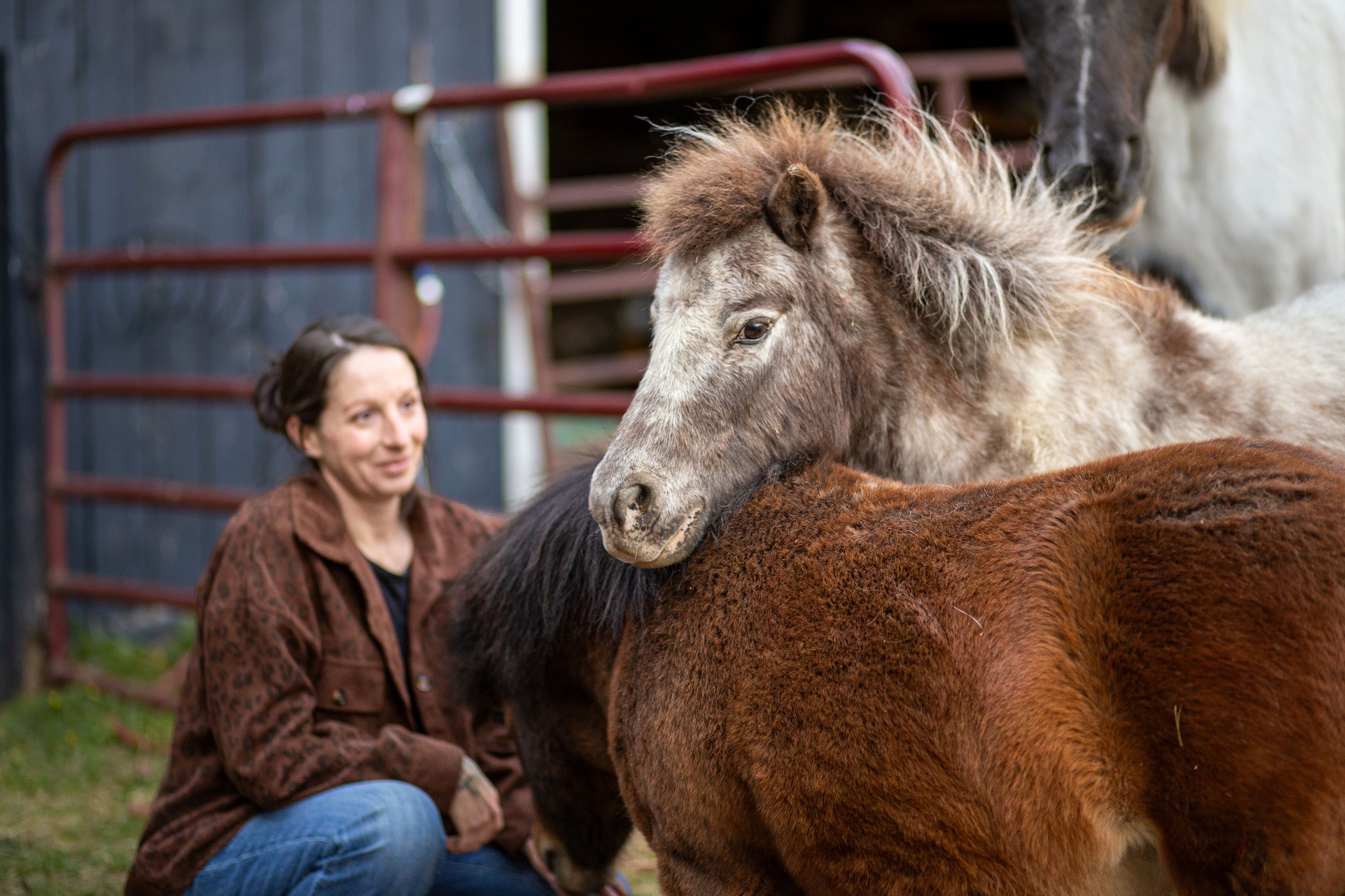 A woman with short dark hair wearing a brown jacket is near a group of horses, one gray and one brown, in an outdoor setting with a black fence and steps in the background.