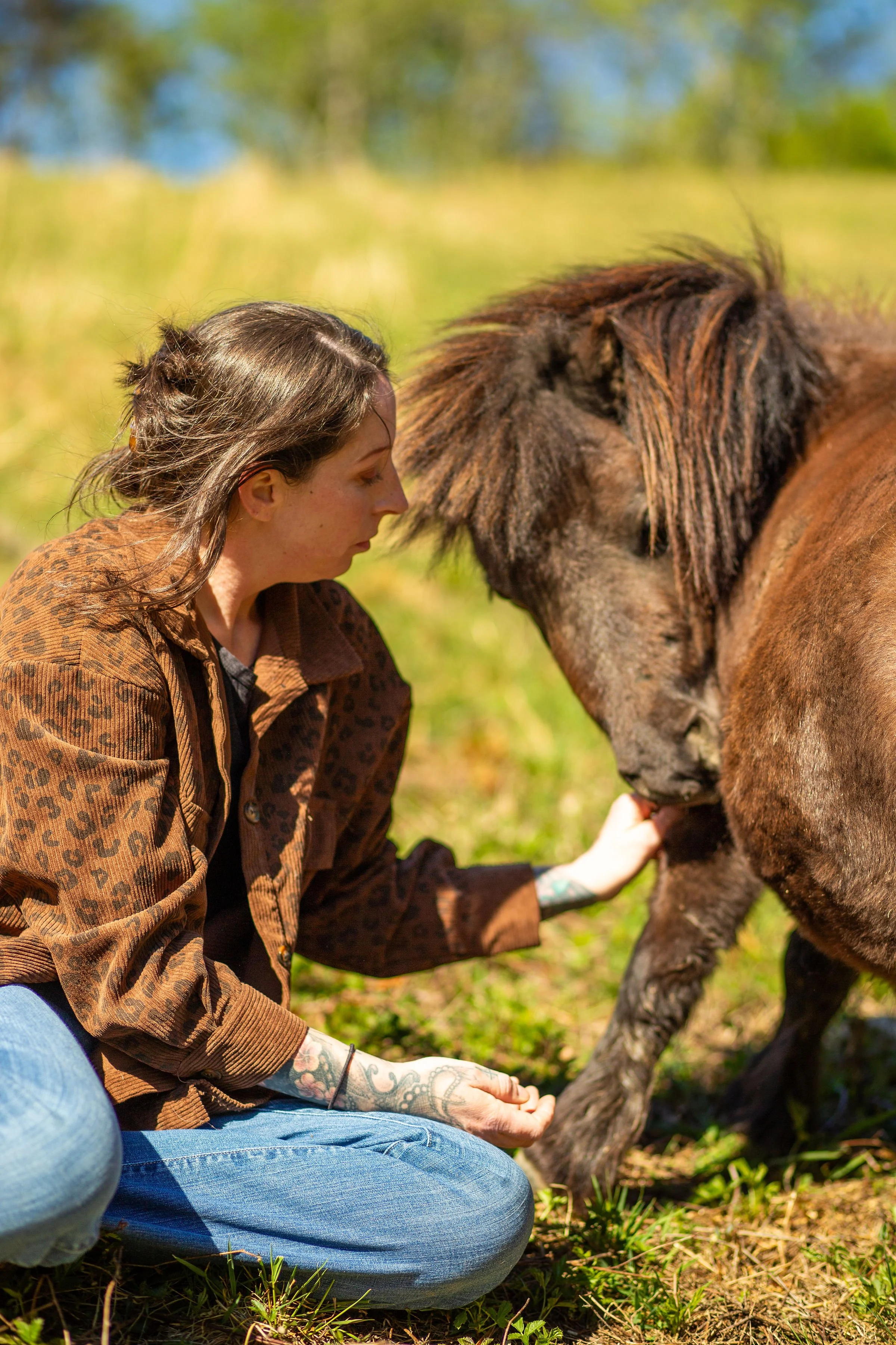 A woman in a leopard print jacket and blue jeans is kneeling on grass while holding the hoof of a horse, with her face close to the horse's face outdoors during daytime.
