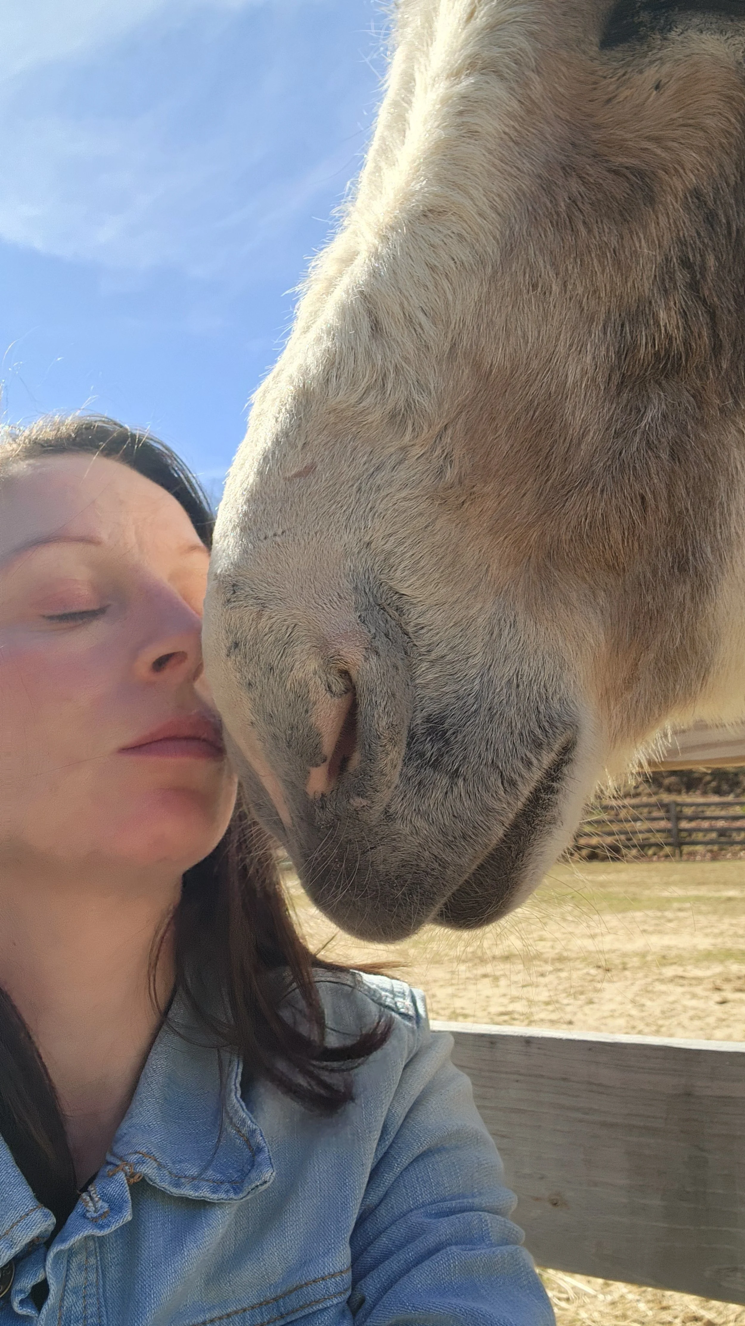 A woman close to a horse's nose with her eyes closed, outdoors under a blue sky.