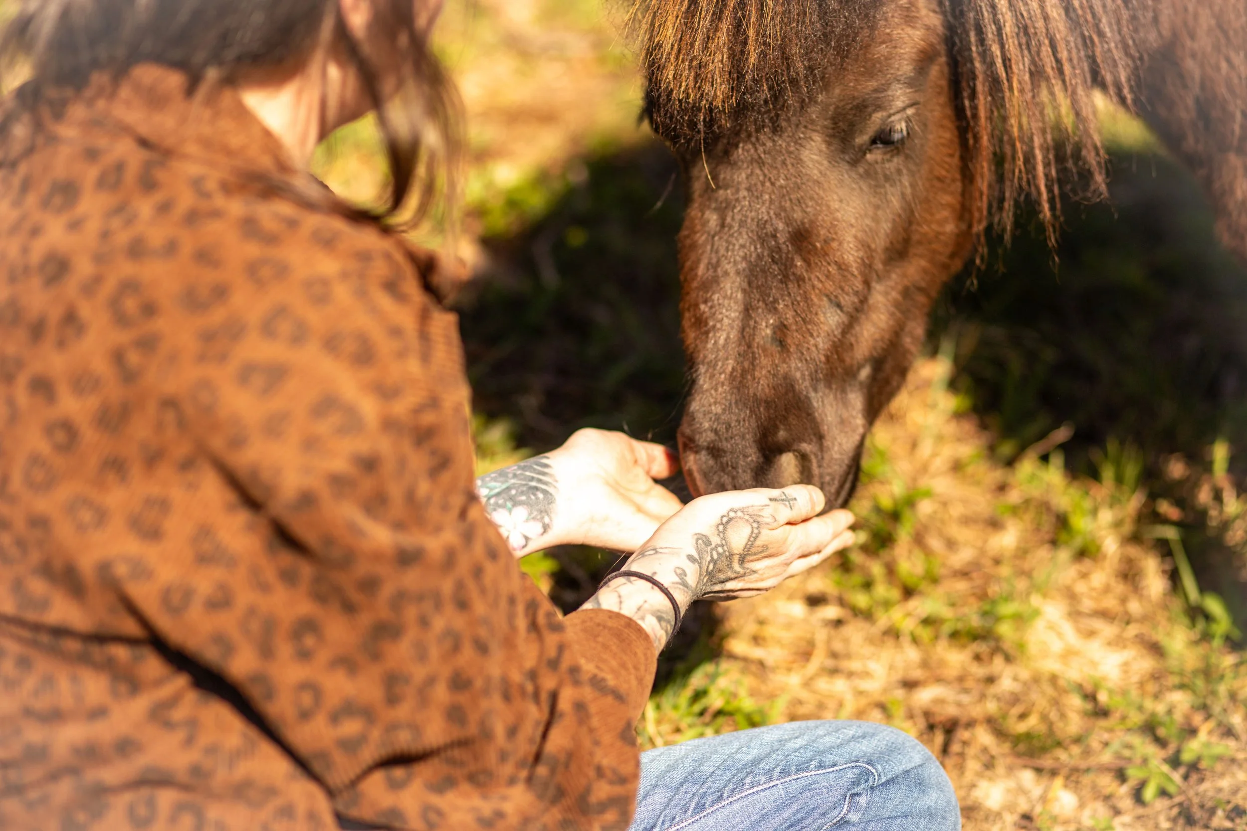 A person with tattoos on their hands, wearing a leopard-print shirt, feeding a brown horse outdoors during daytime.