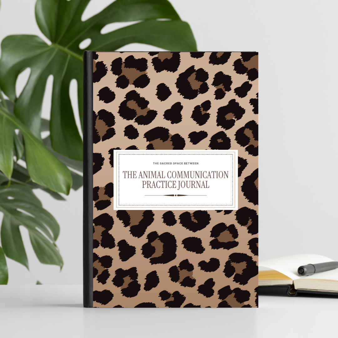 Leopard print journal titled 'The Animal Communication Practice Journal' standing on a white desk with a green monstera plant and an open notebook with a pen in the background.