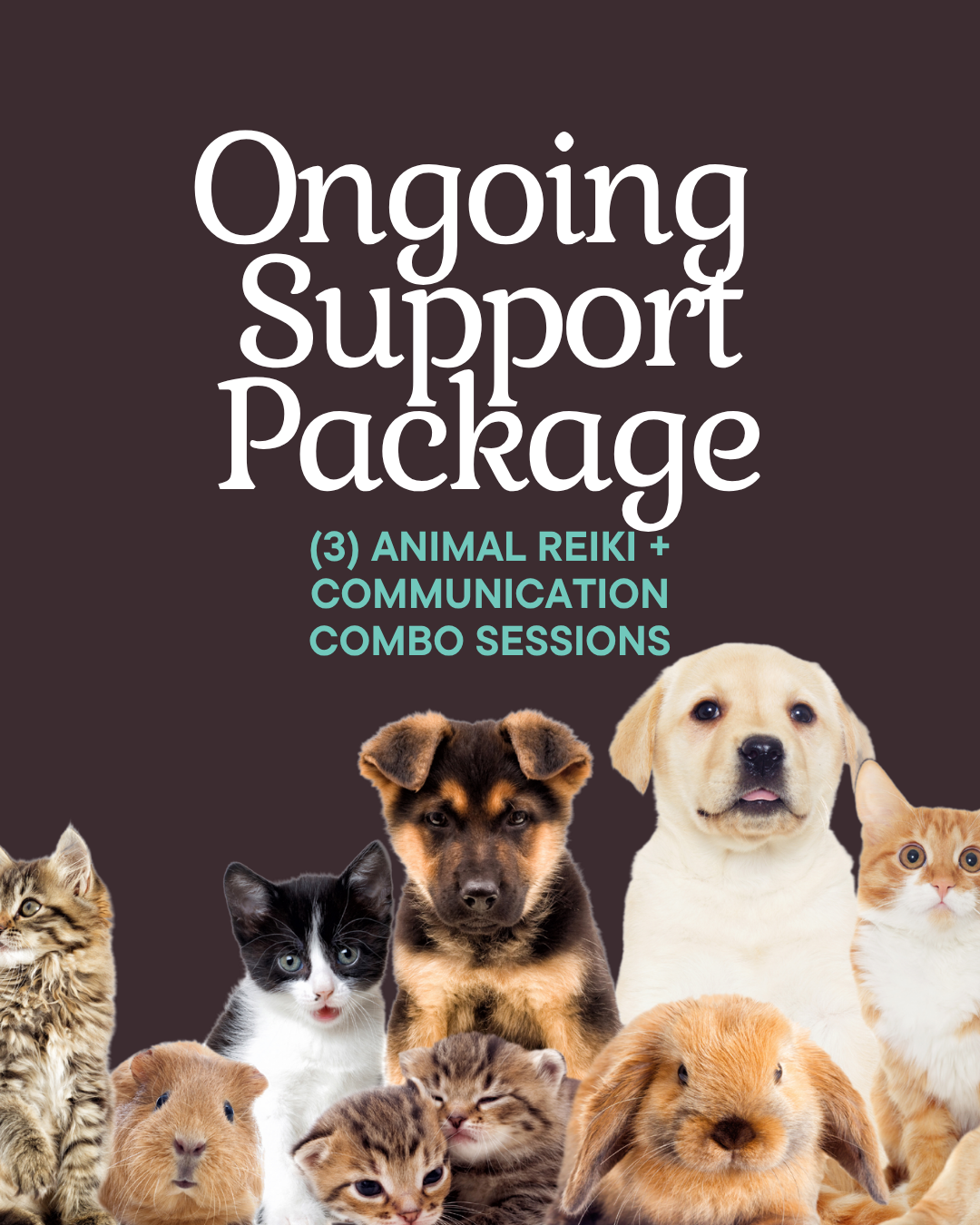 Ongoing Support (3 Animal Reiki + Communication Combo Sessions)