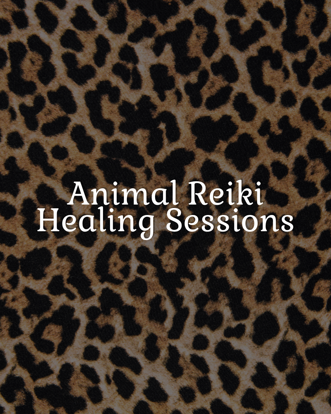 A leopard print background with the white text 'Animal Reiki Healing Sessions' centered in the middle of the image.