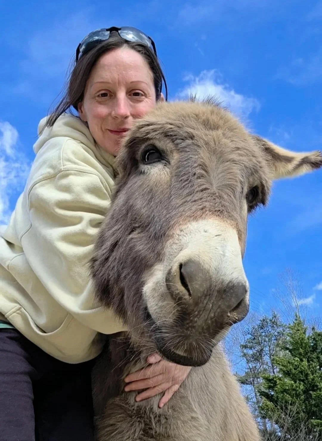 A woman hugging a donkey outdoors against a bright blue sky with a few clouds.