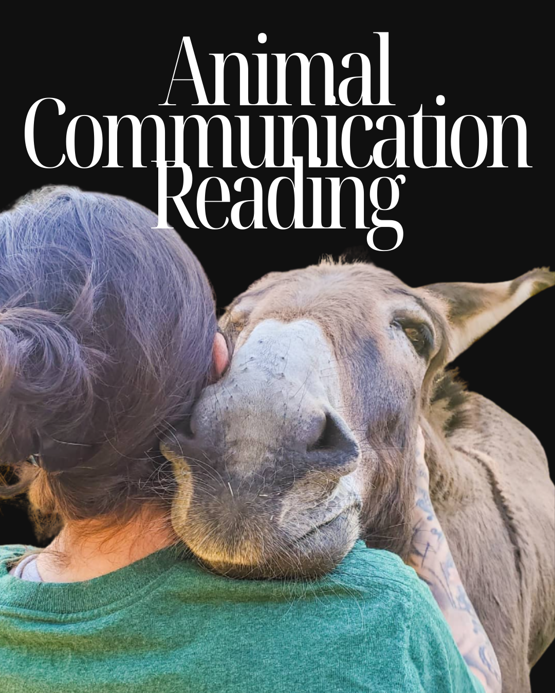 Book cover titled "Mini Animal Reading" with a kitten and a puppy looking at each other on a black background.