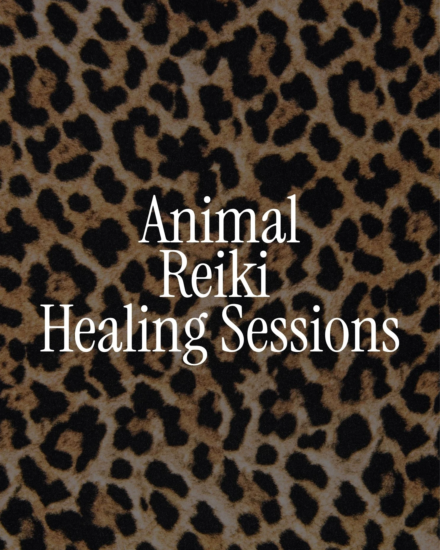 Leopard print background with overlaid white text reading 'Animal Reiki Healing Sessions'.