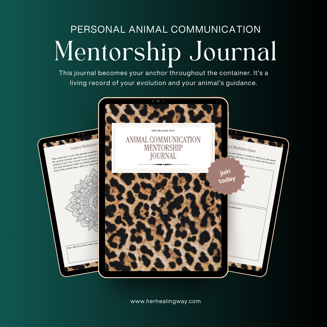 Online Course Launch Mockup Instagram Post (3).png