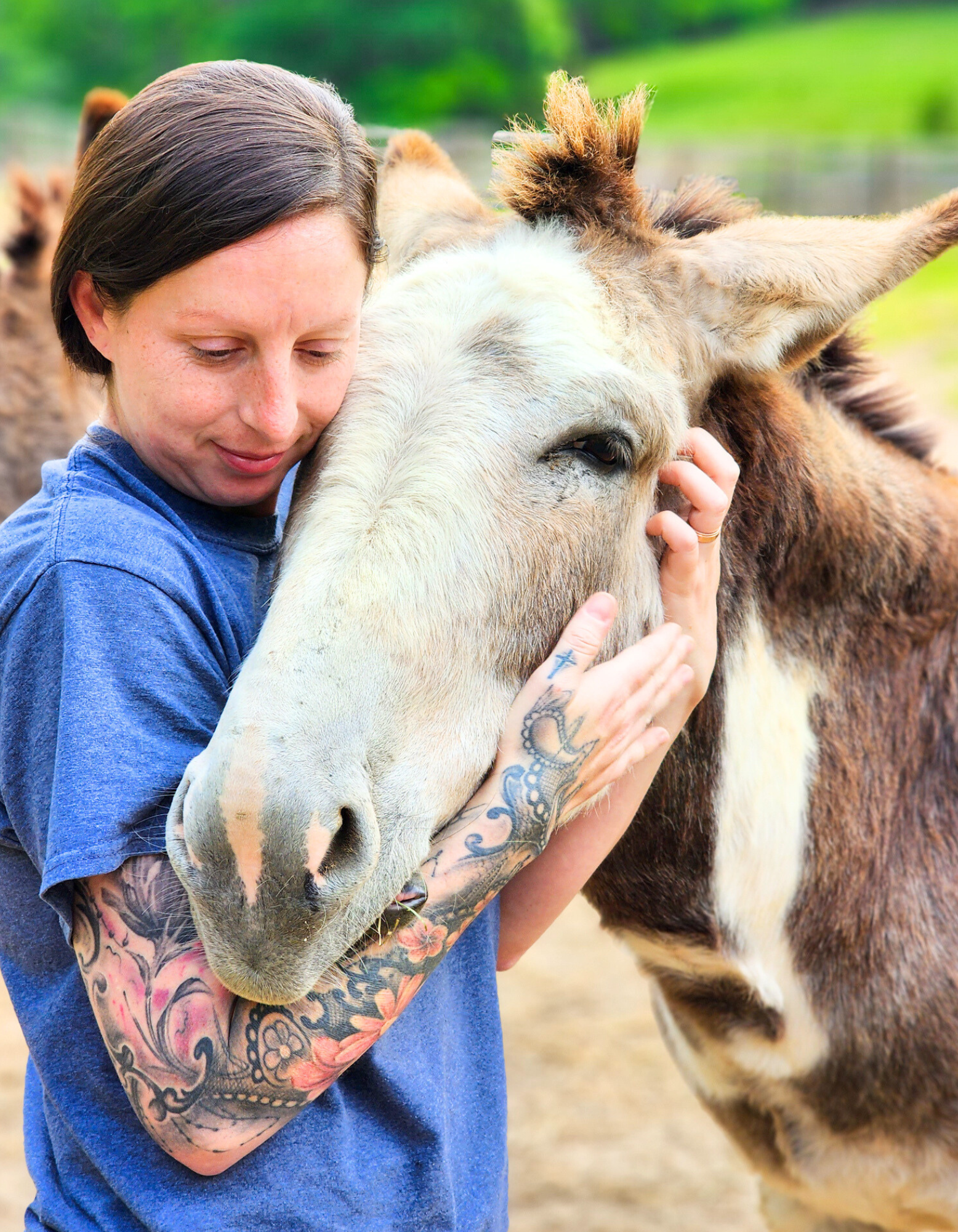 A woman with tattoos on her arm wearing a blue shirt is hugging and nuzzling a light-colored donkey in a green outdoor setting.