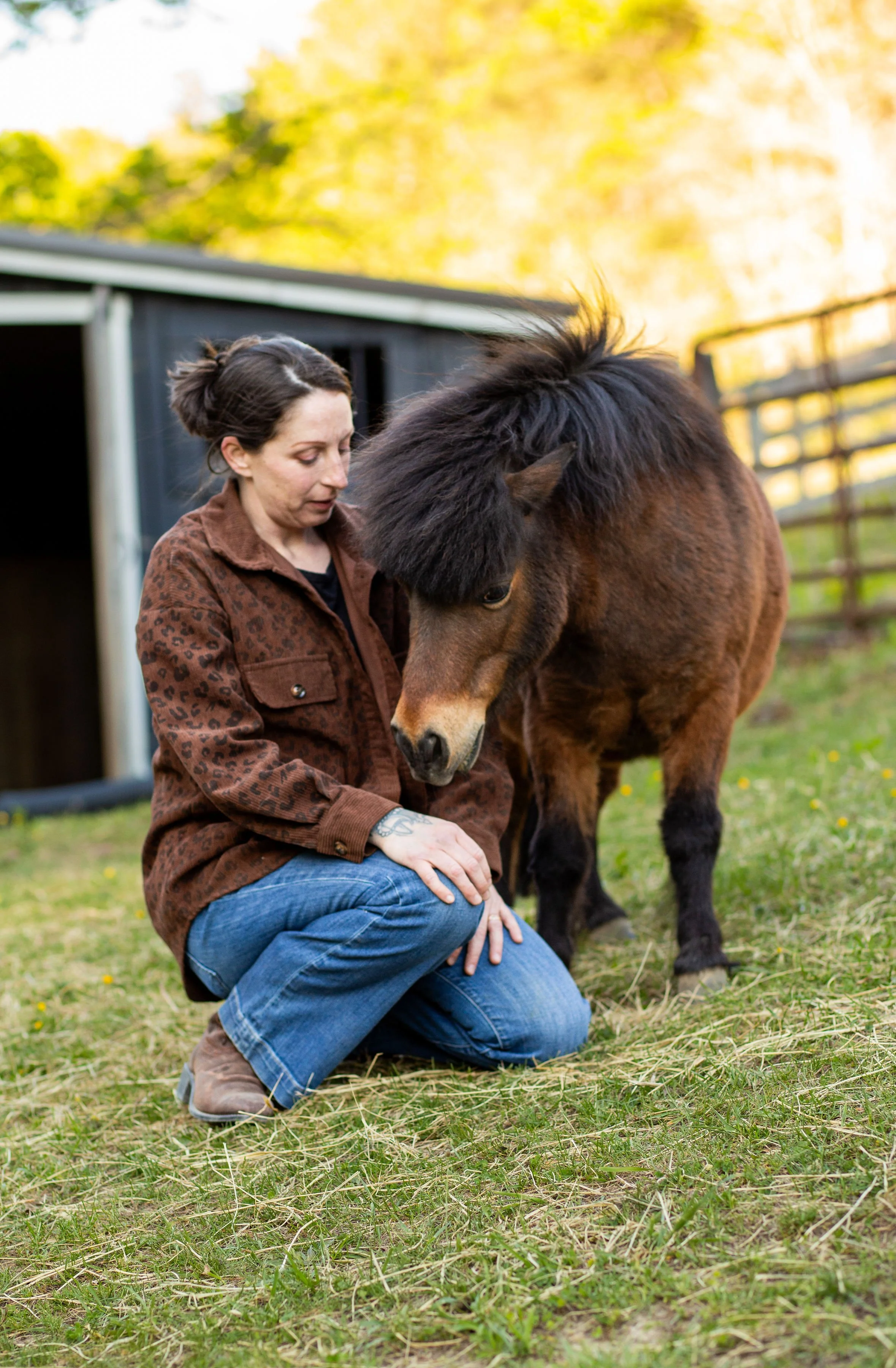 A woman kneeling on grass, petting a small brown horse with a black mane outside near a barn during daytime.