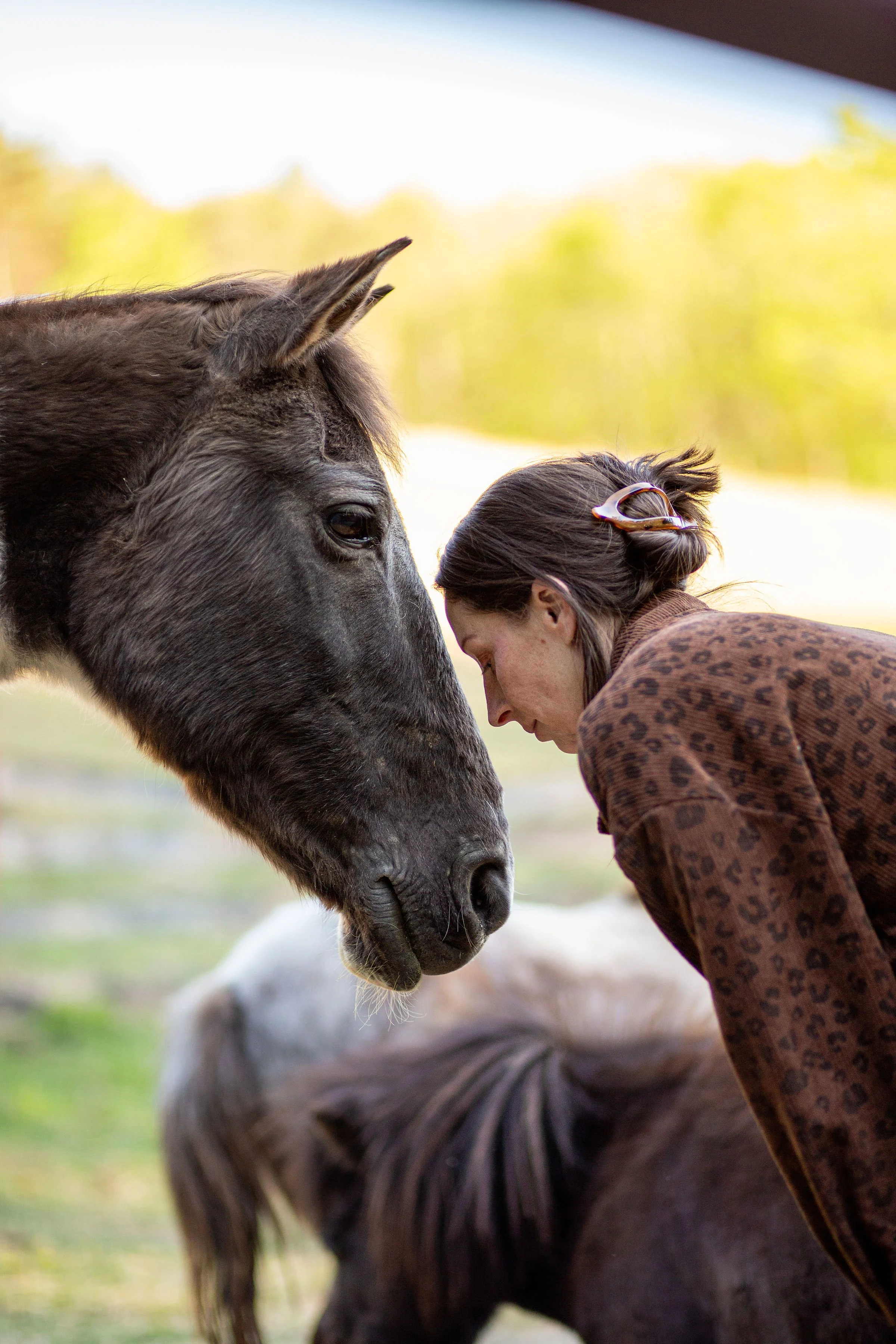 A woman with dark hair wearing a leopard print sweater is gently touching noses with a black horse outdoors, with blurred trees and grass in the background.