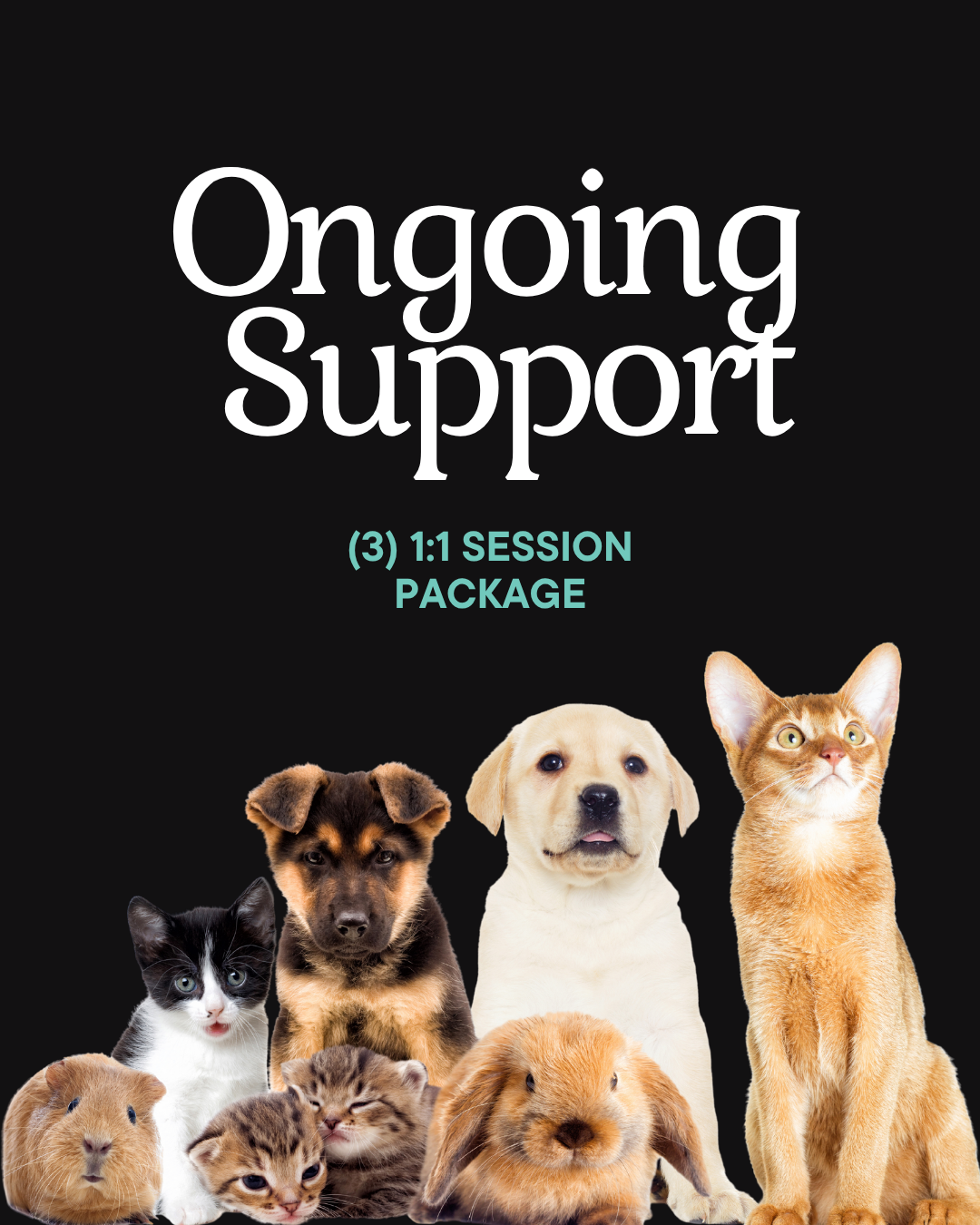 Cover image for ongoing support package featuring various animals such as a guinea pig, kitten, puppy, rabbit, cat, dog, and rabbit, with text indicating a package for ongoing support with a 1:1 session.