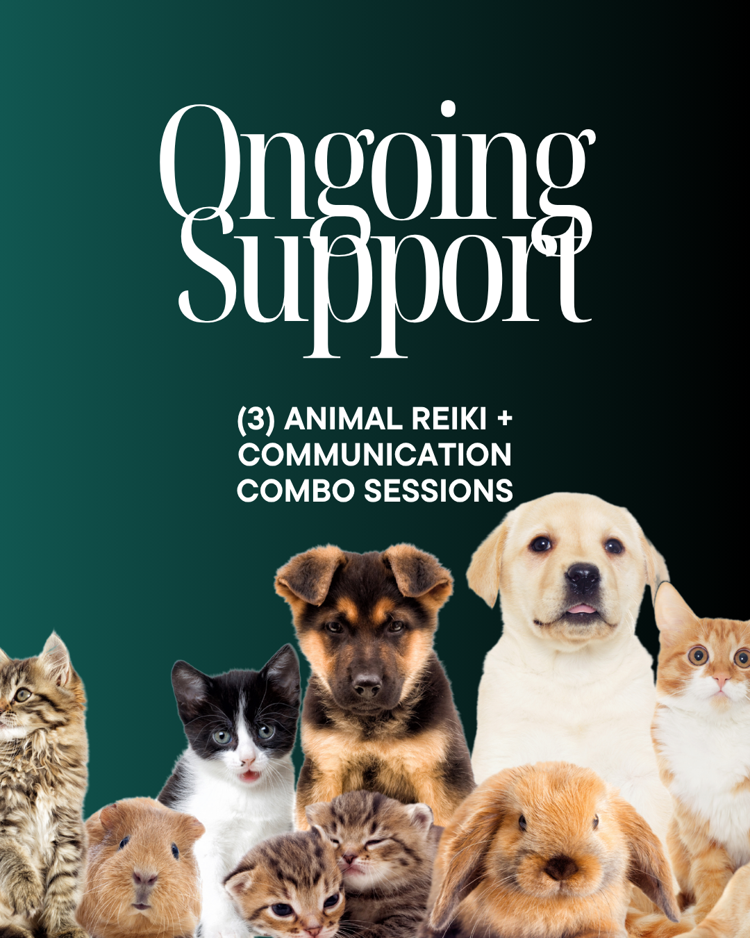 Ongoing Support (3 Animal Reiki + Communication Combo Sessions)
