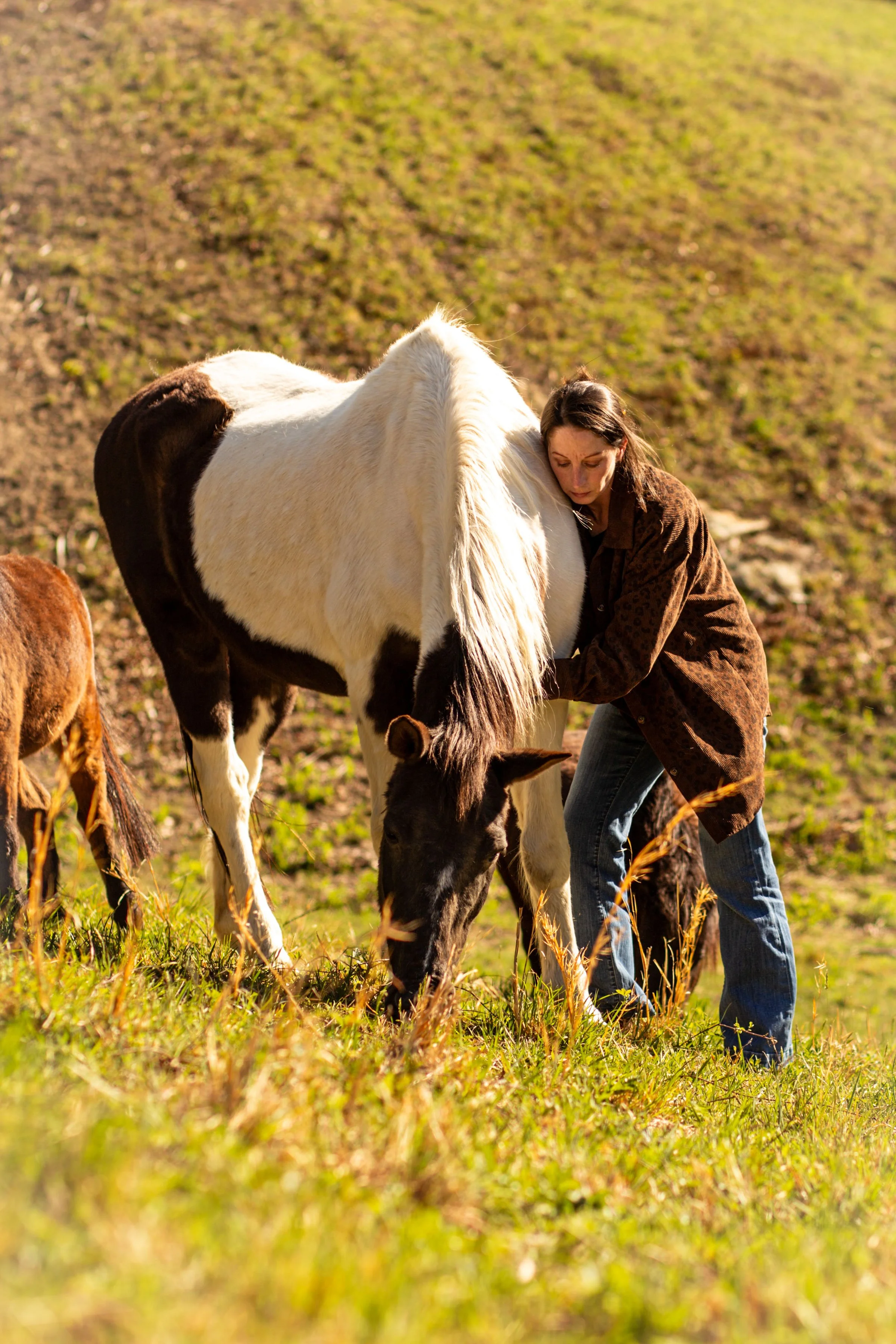 An animal communicator in a brown jacket and jeans gently tending to a black and white horse in a grassy field during sunset.