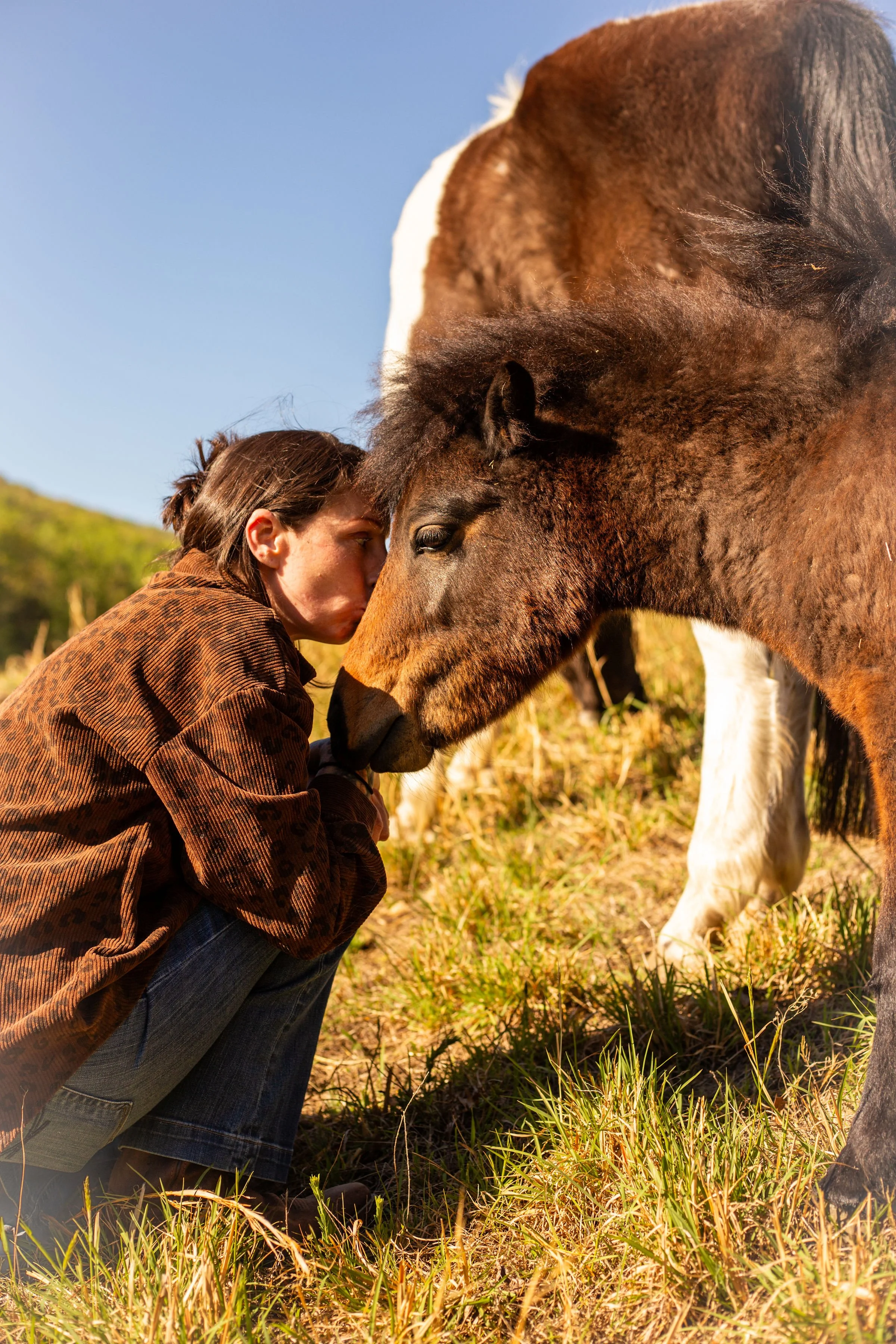 A woman kneeling on the grass, leaning her forehead against a brown and white horse, in a field with blue sky and green trees in the background.
