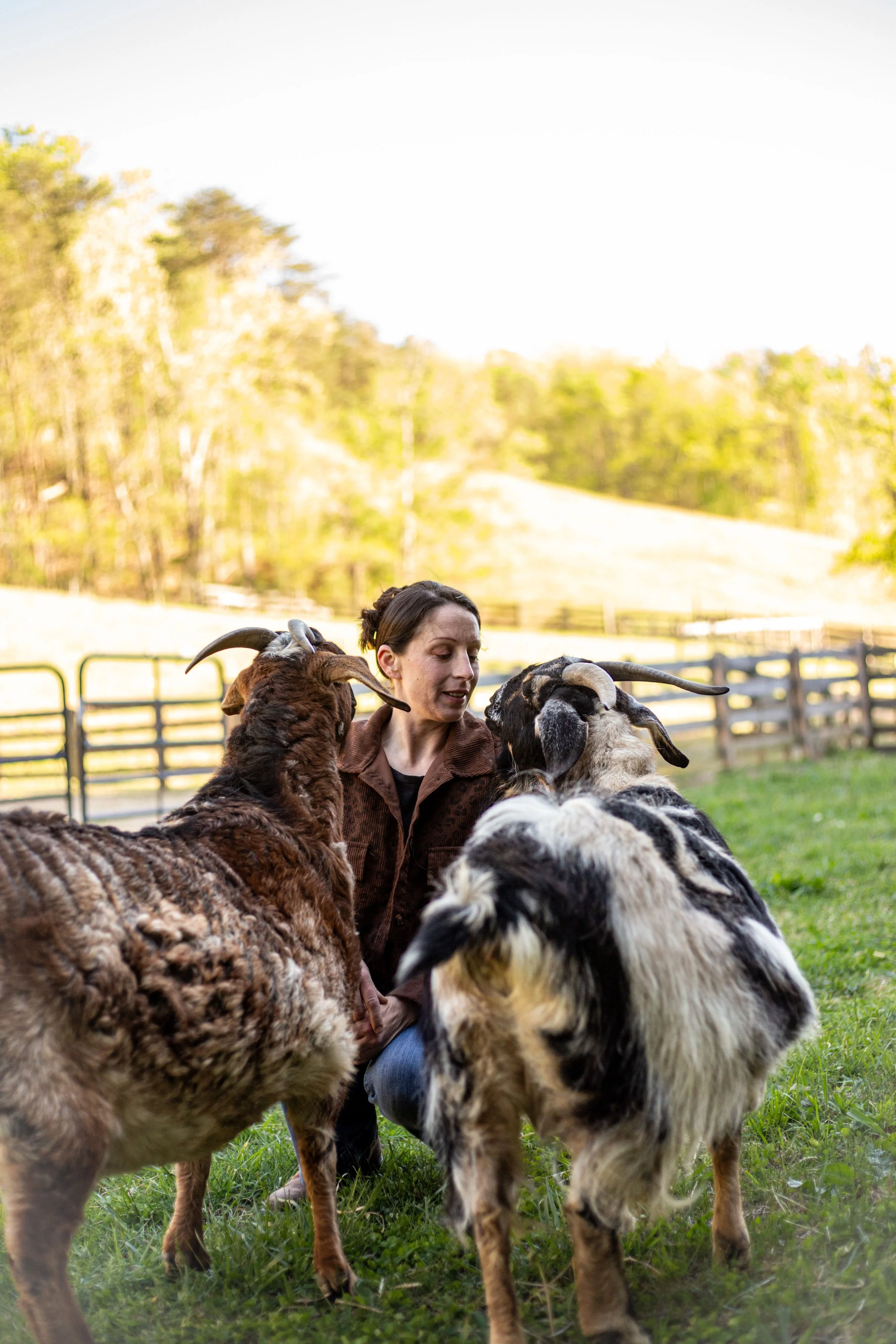 A woman surrounded by several goats in an outdoor farm setting with trees and fencing in the background.