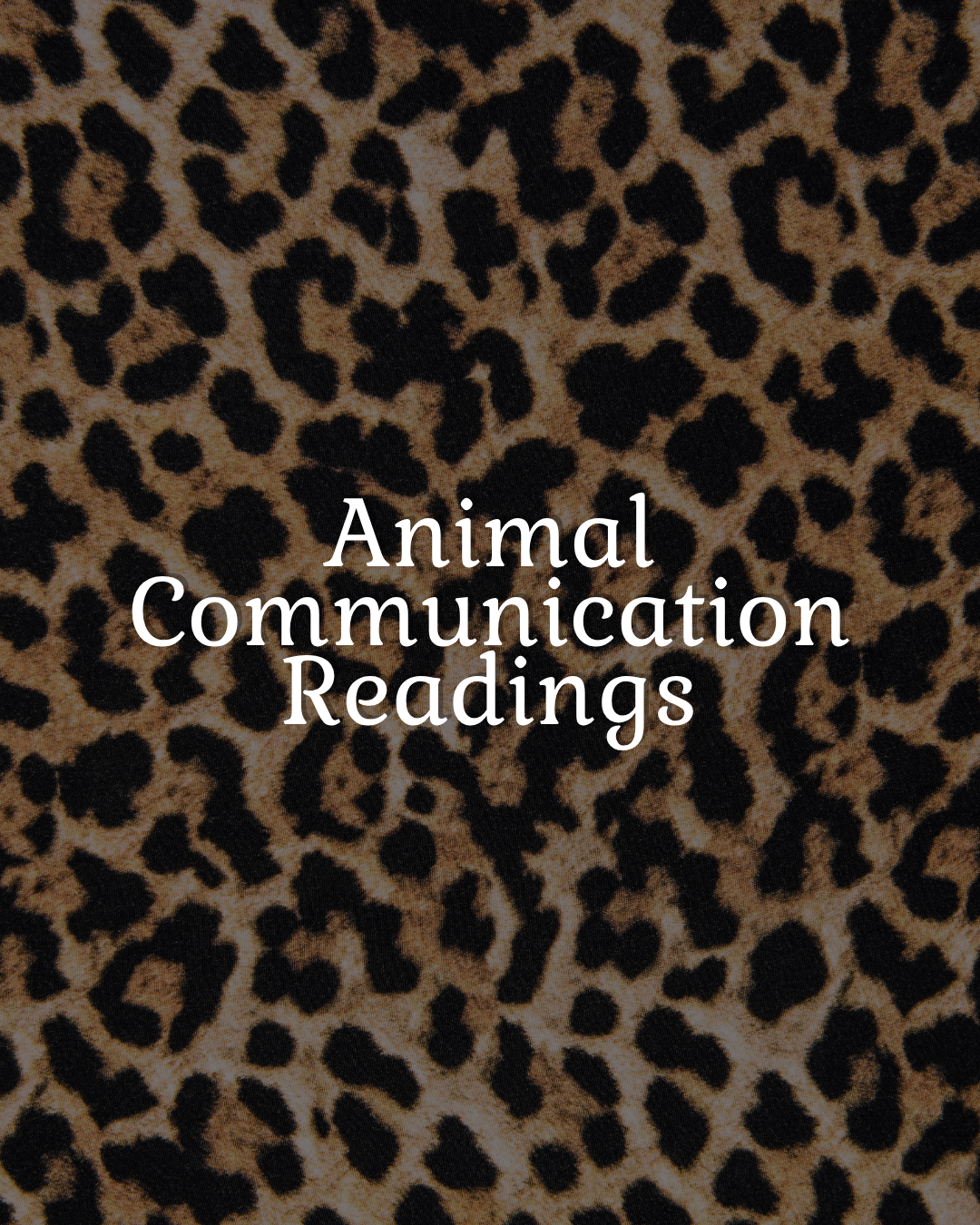Cover with animal print background and the title 'Animal Communication Readings'.