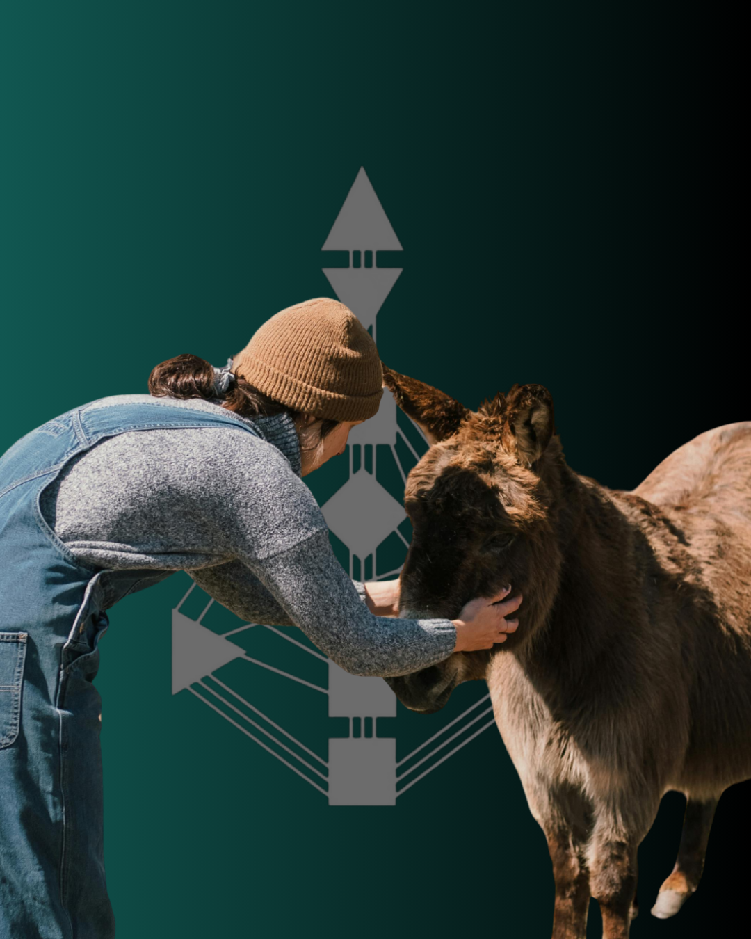 An Animal Communicator wearing a brown beanie and gray jacket gently holding the face of a brown and black donkey in front of a green background with a human design bodygraph.