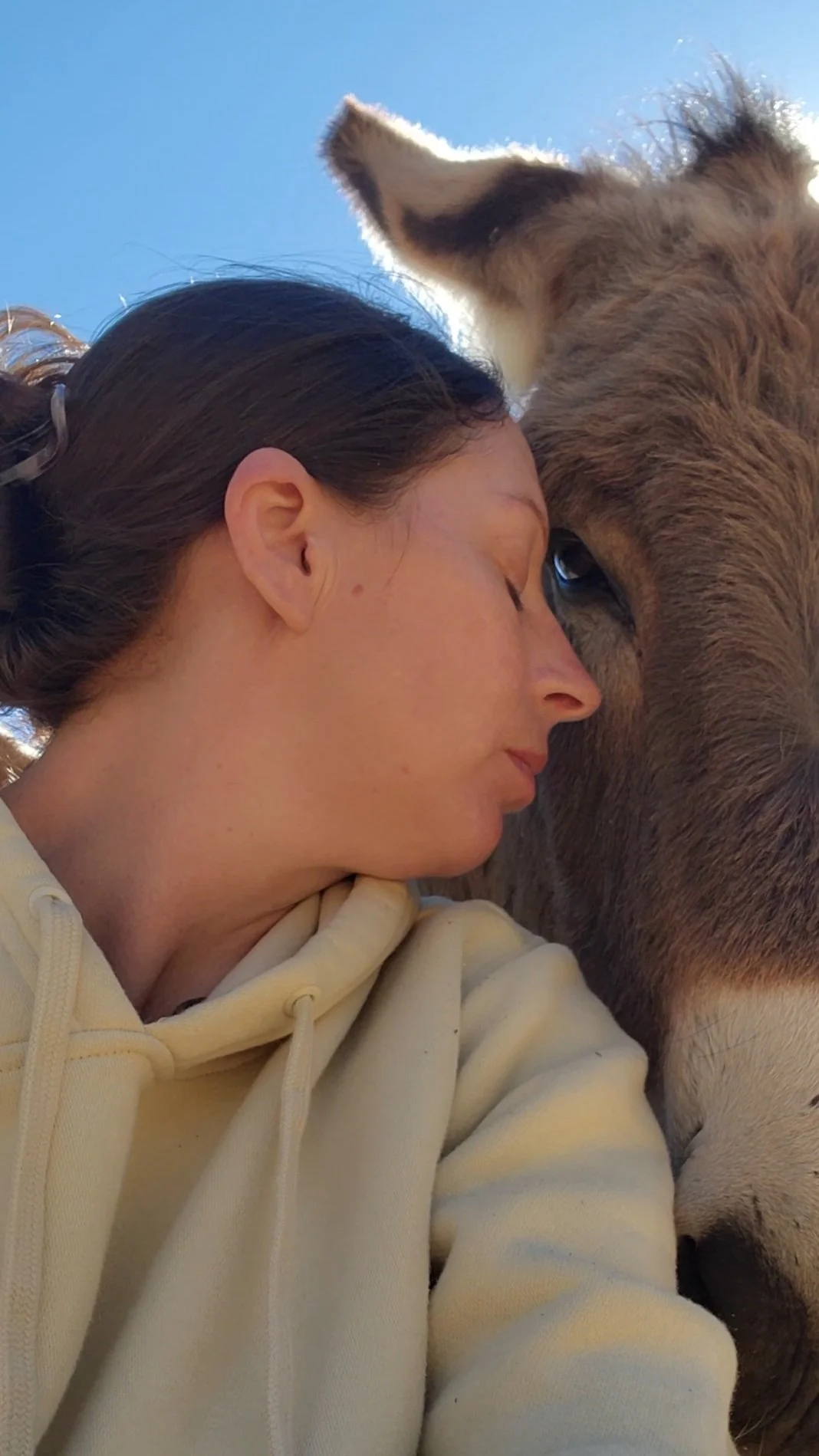 A woman resting her head against a donkey's face with eyes closed against a clear blue sky.