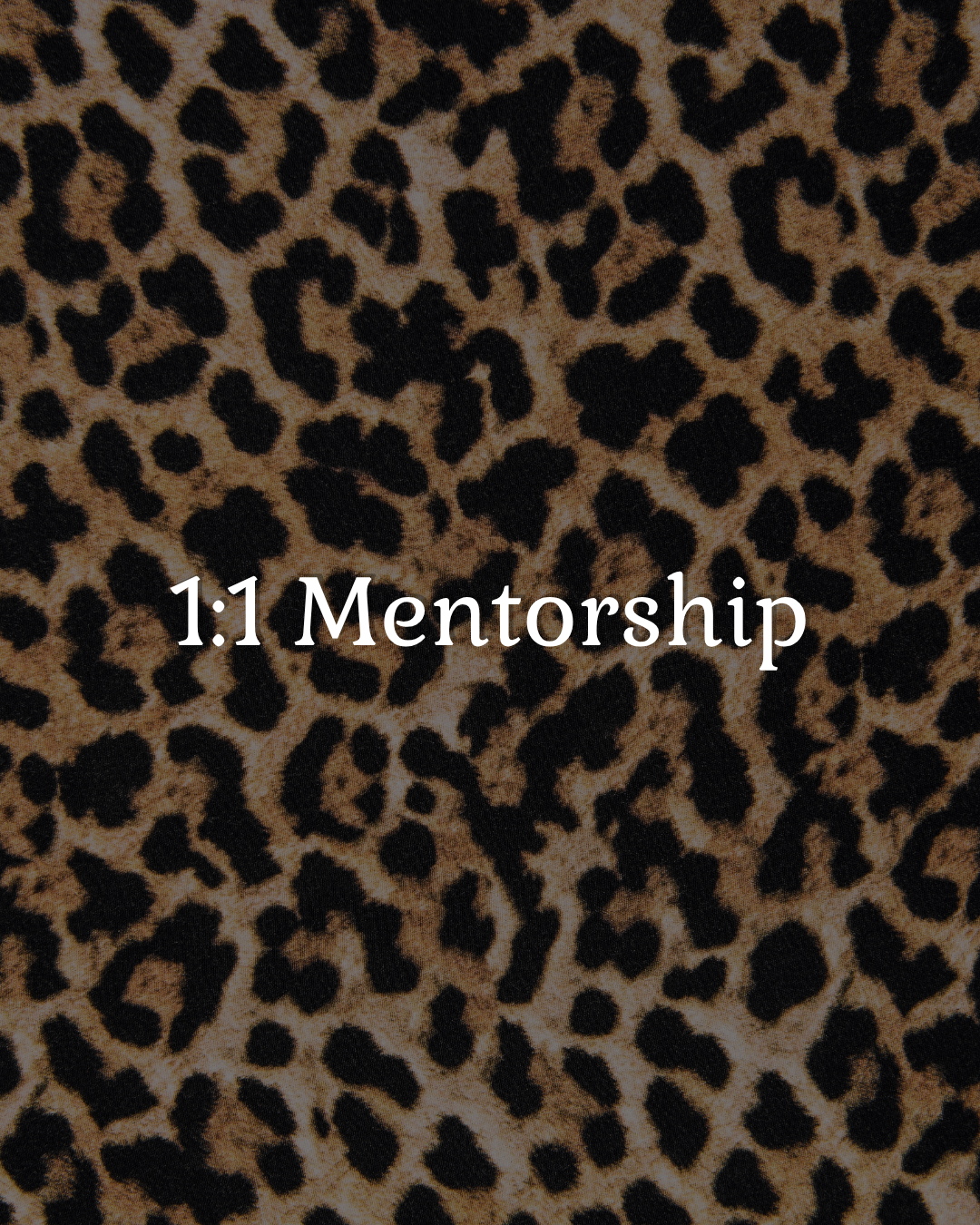 Leopard print background with the text '1:1 Mentorship' in white.