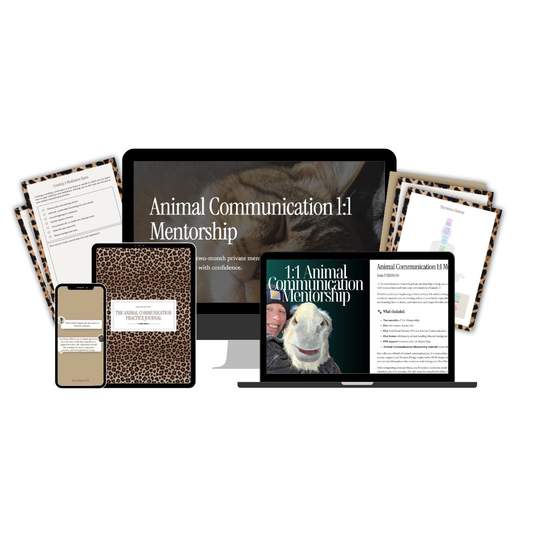 Online course materials for Animal Communication 1:1 Mentorship, including a laptop, smartphone, notebook, and printed documents with animal images and diagrams, all themed around animal communication.