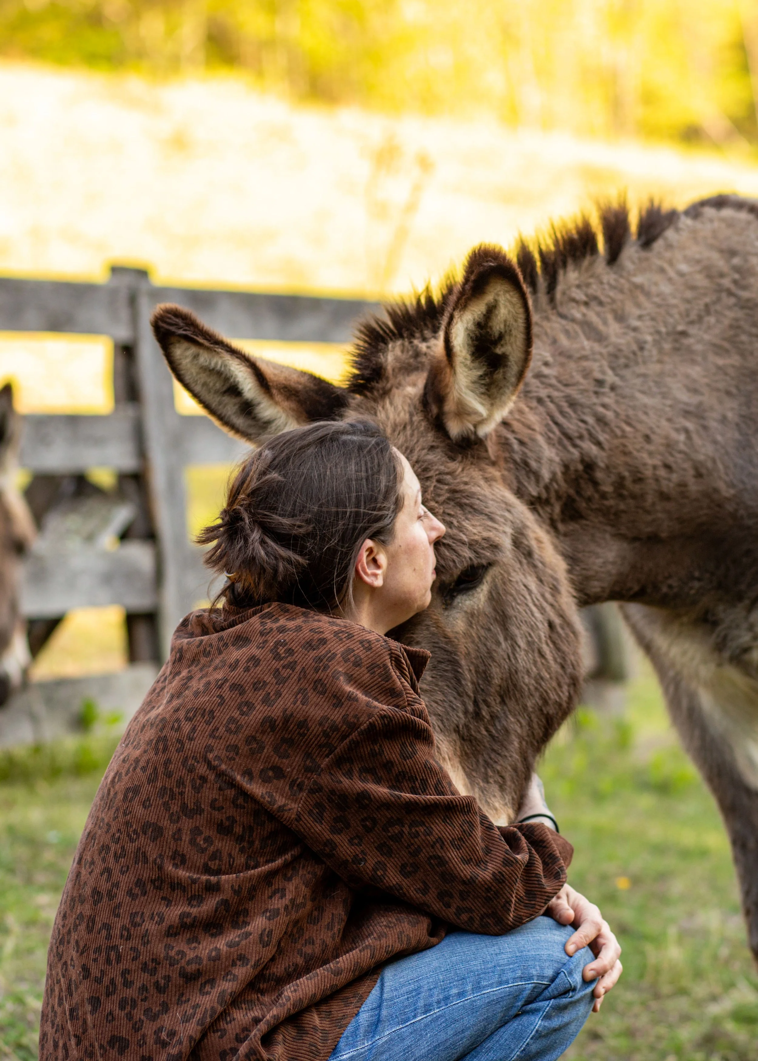 A woman with dark hair tied back is kneeling on the grass, resting her head and arms on a large, brown, fluffy animal, possibly a mule or donkey, in an outdoor setting with a wooden fence and blurred trees in the background.