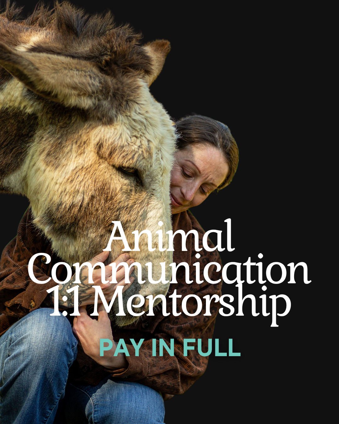 Animal Communication 1:1 Mentorship (Pay In Full)