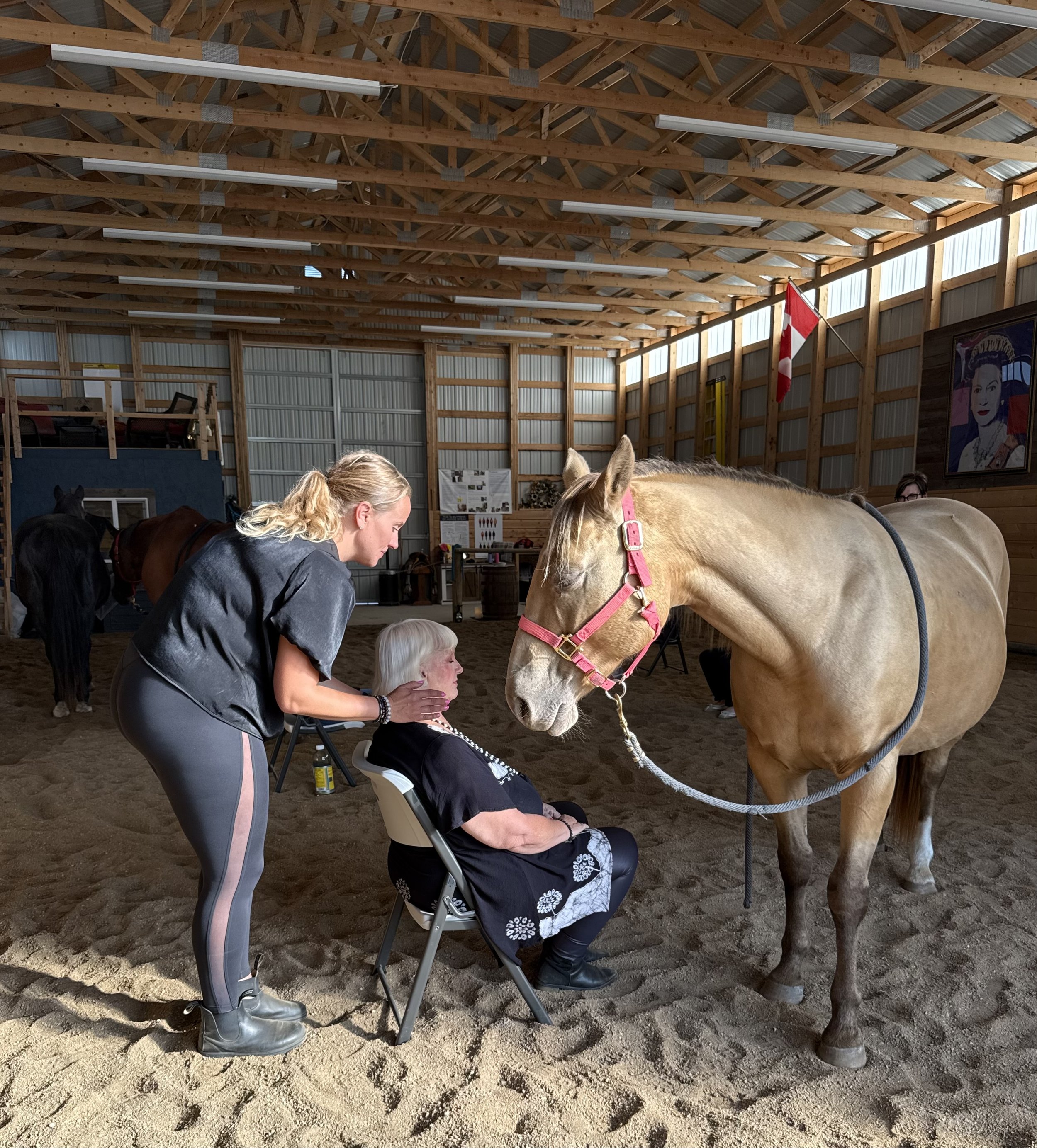 A woman sitting on a chair has her forehead caressed by a young woman standing in front of her inside a barn. There is a tan horse with a pink halter standing in front of her, with its eyes closed. The barn has wooden walls and a high ceiling with lights, and another horse is visible in the background.