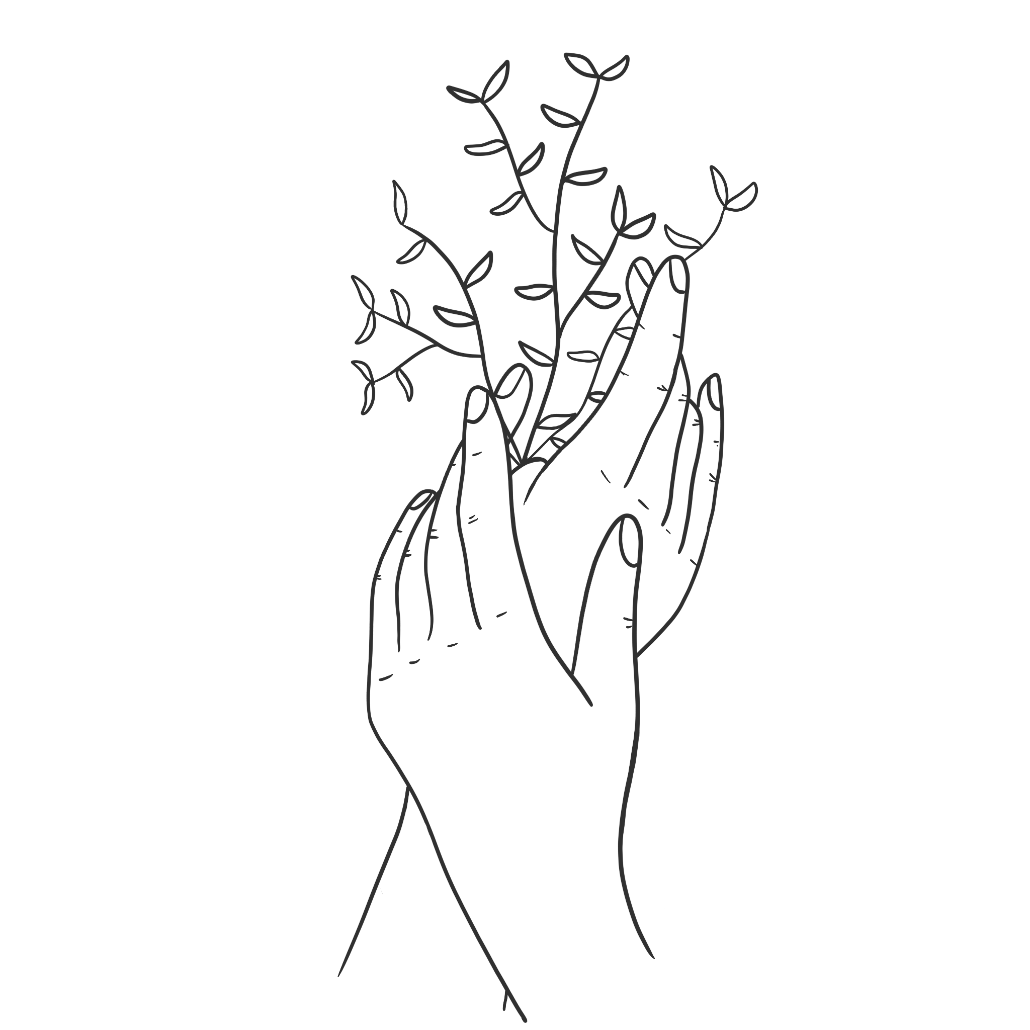 Outline drawing of a hand gently holding a sprig with small leaves.