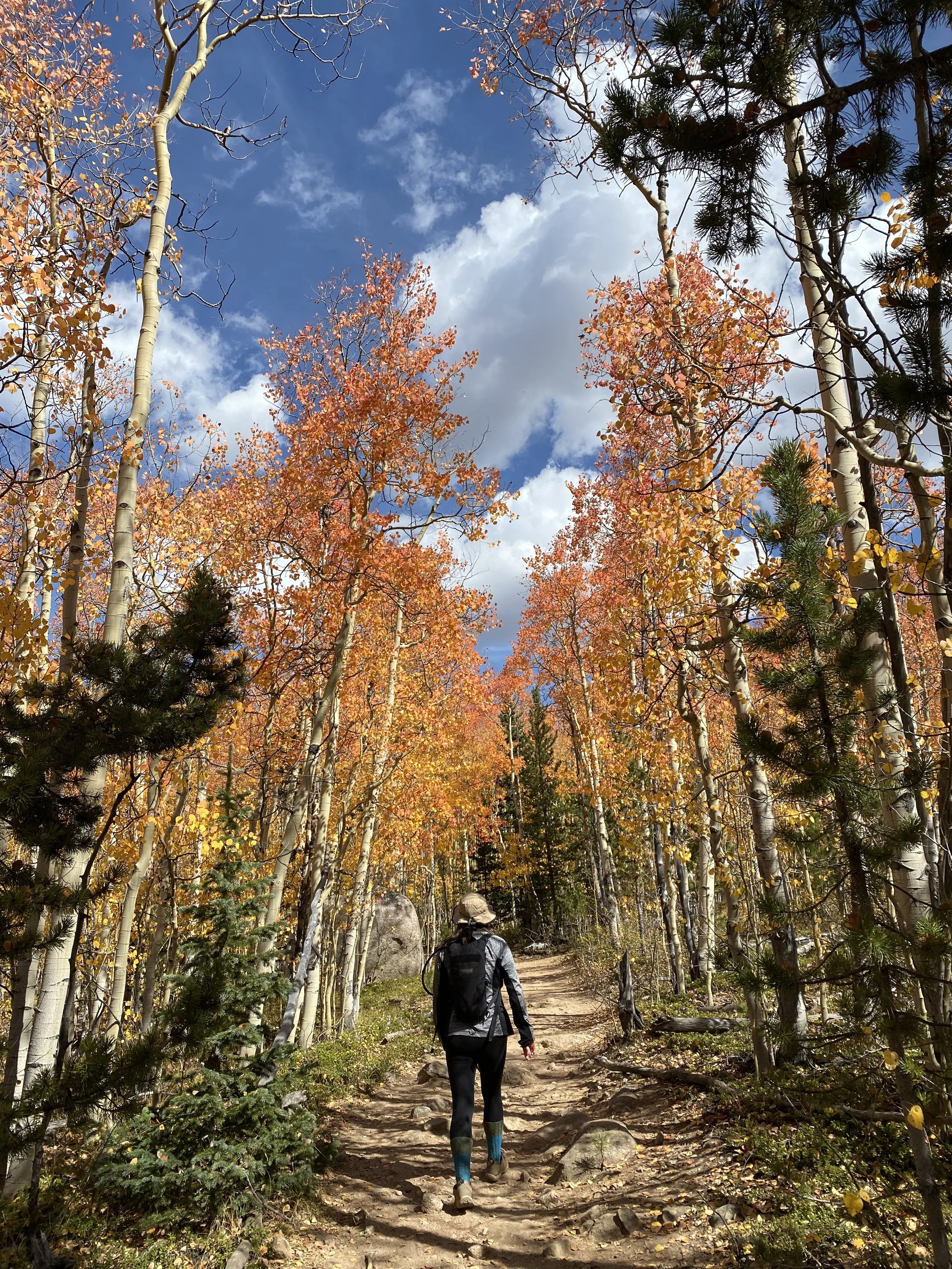 A person hiking on a dirt trail through a forest of aspen and pine trees with colorful autumn leaves, under a blue sky with clouds.