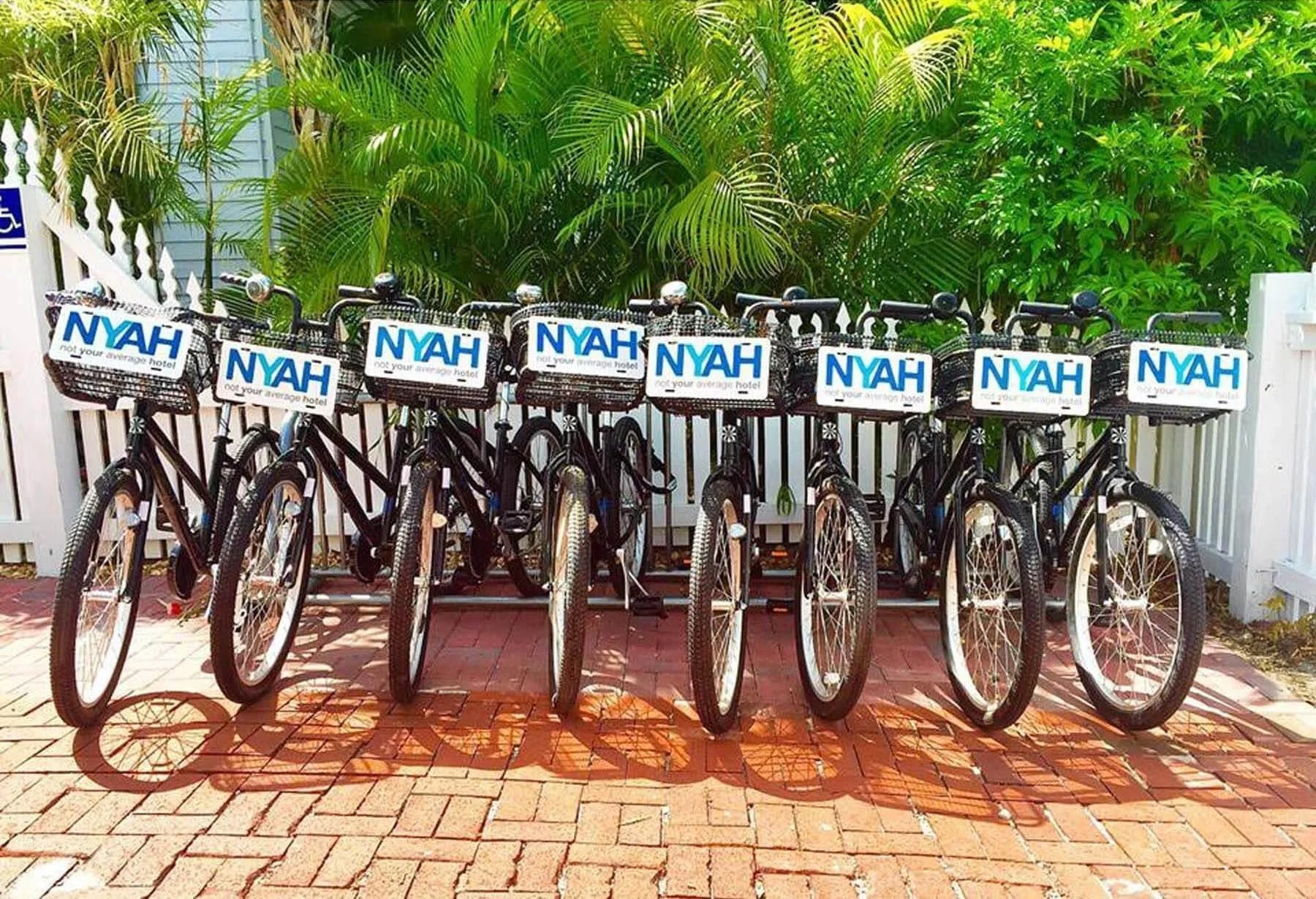 NYAH-bikes-1.jpg