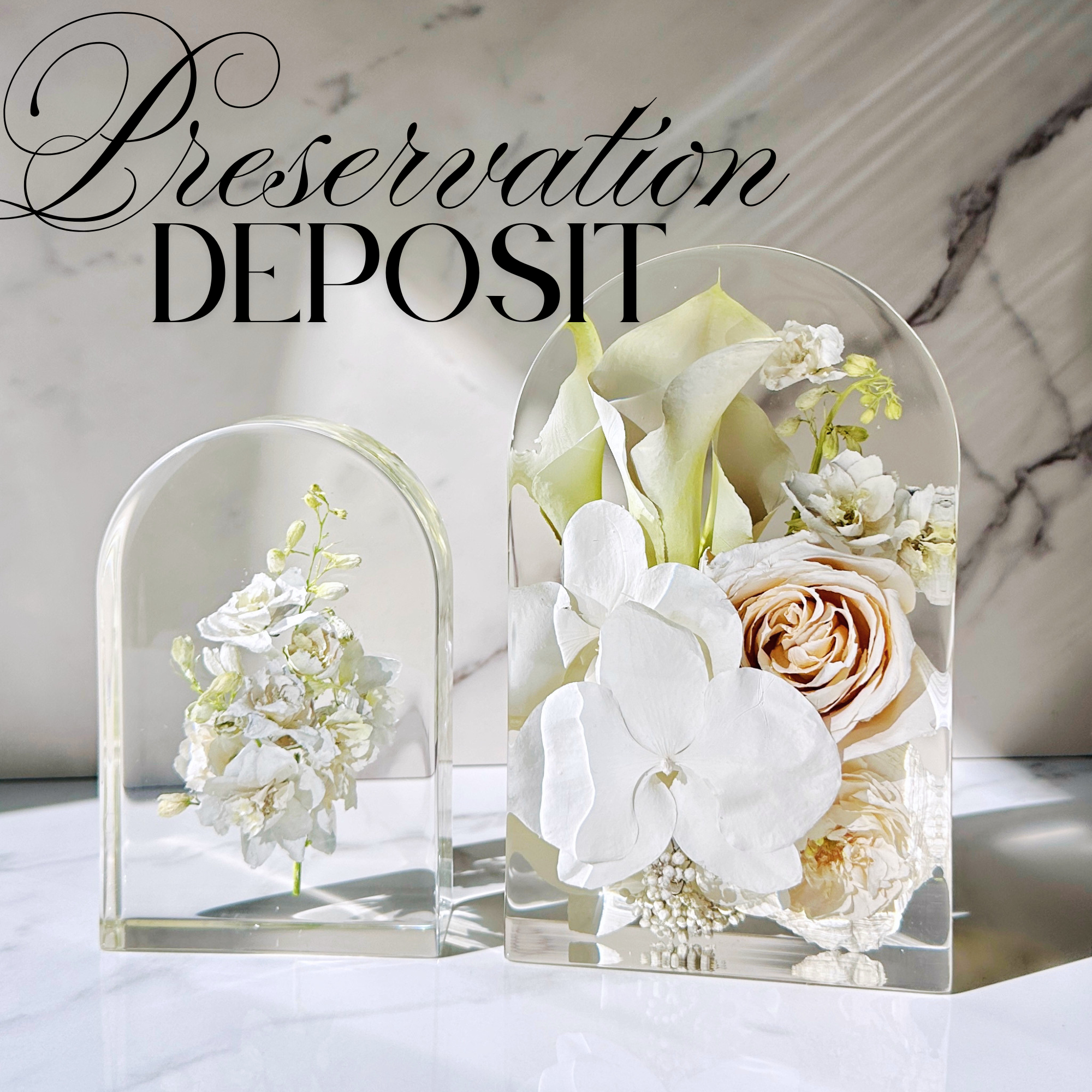 Preservation Deposit.png